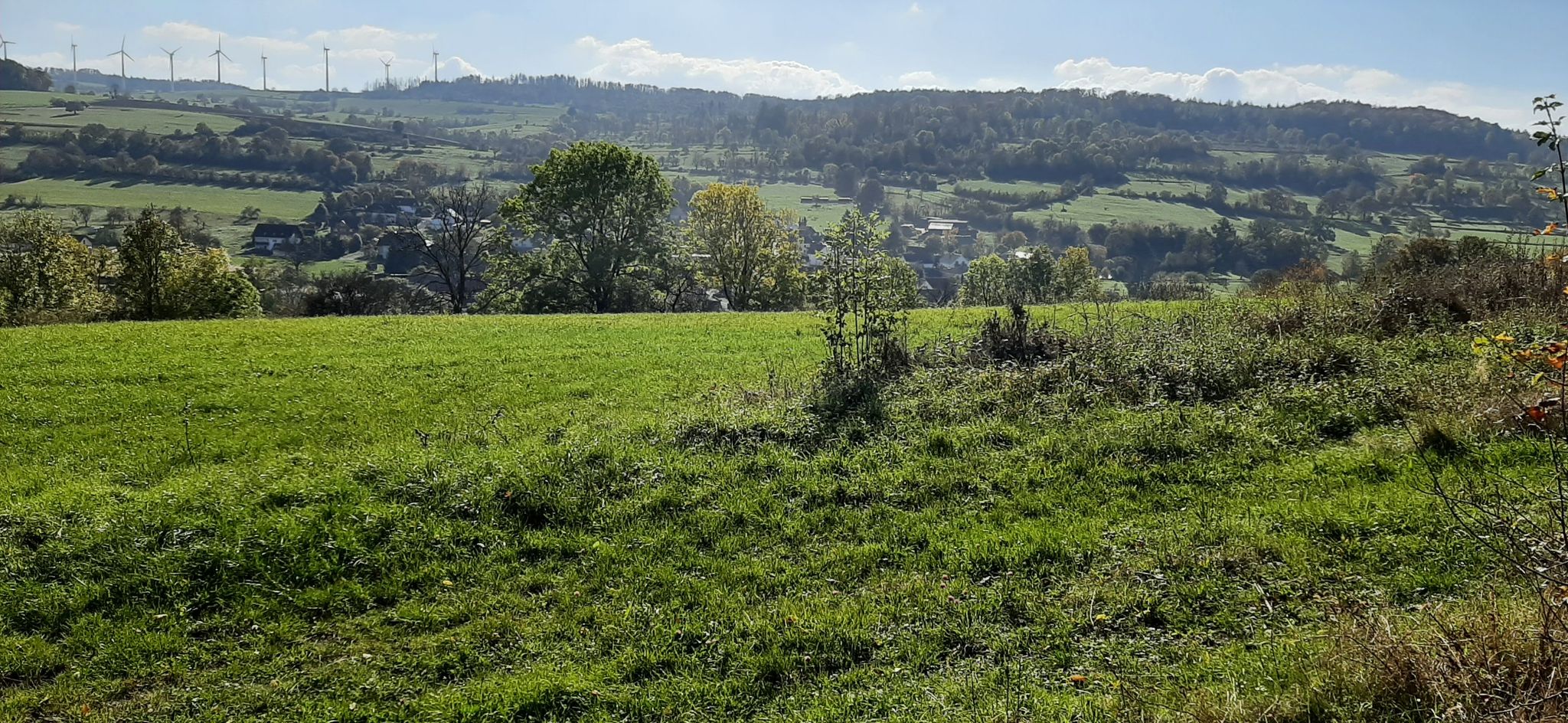 Wohnfeld