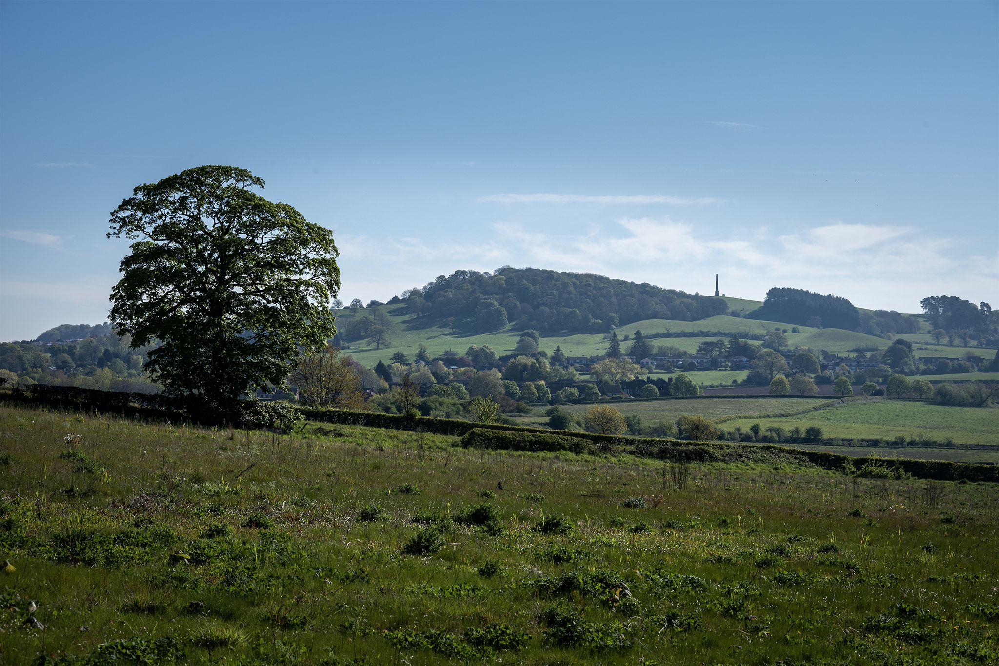 Clent Hills
