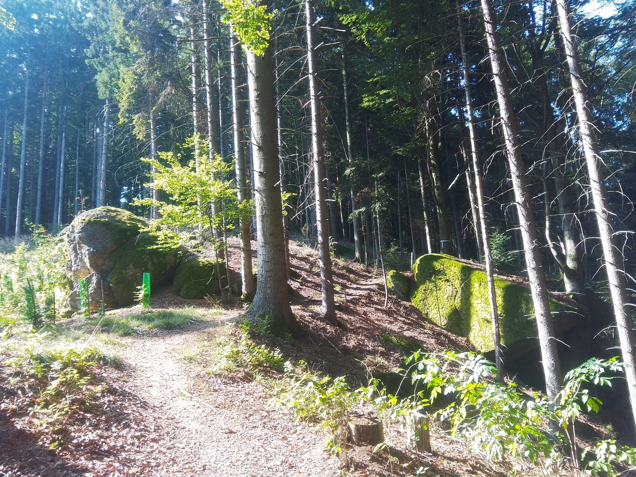 Aufstieg 13%