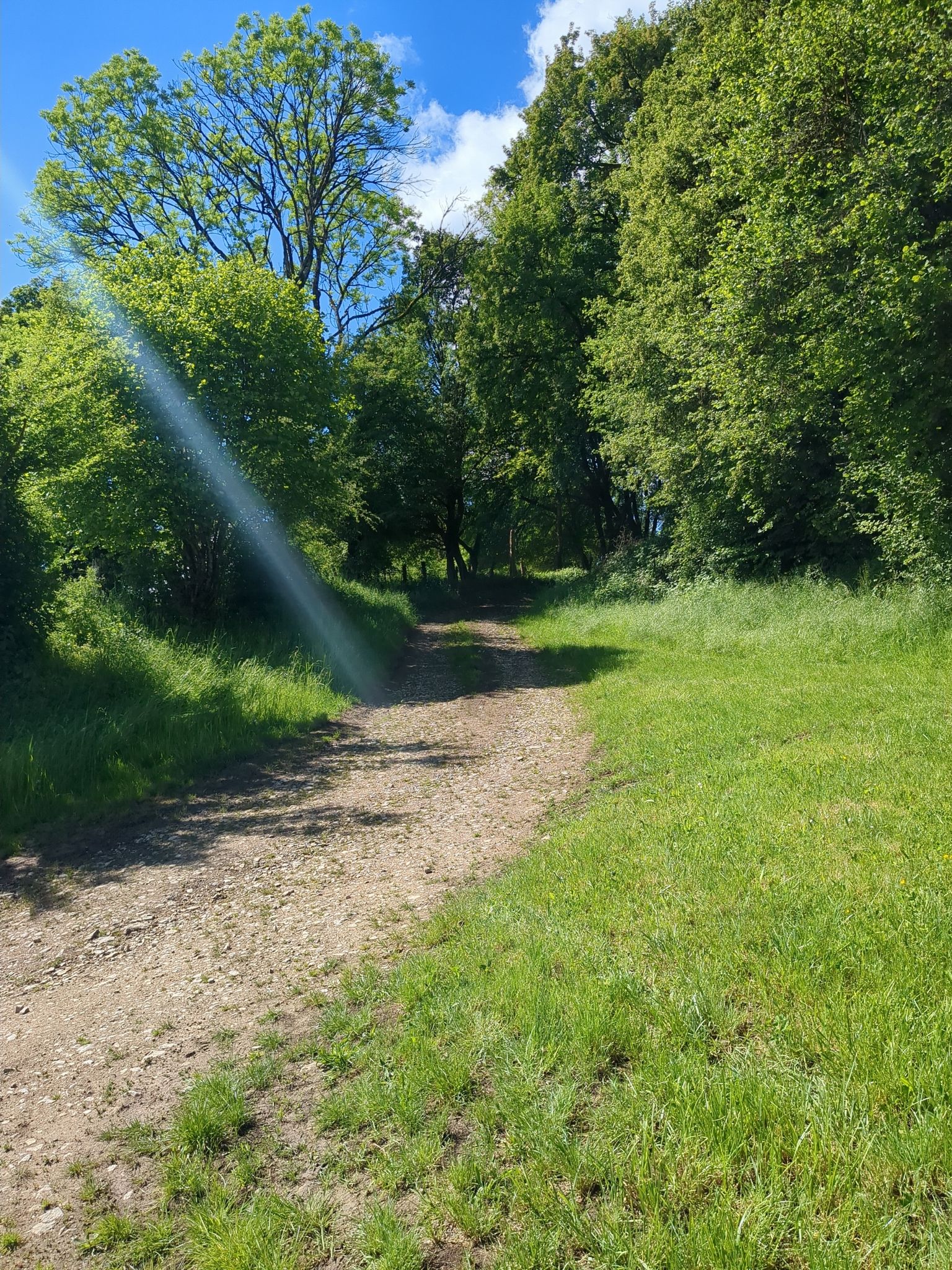 prendre le chemin qui coupe ici