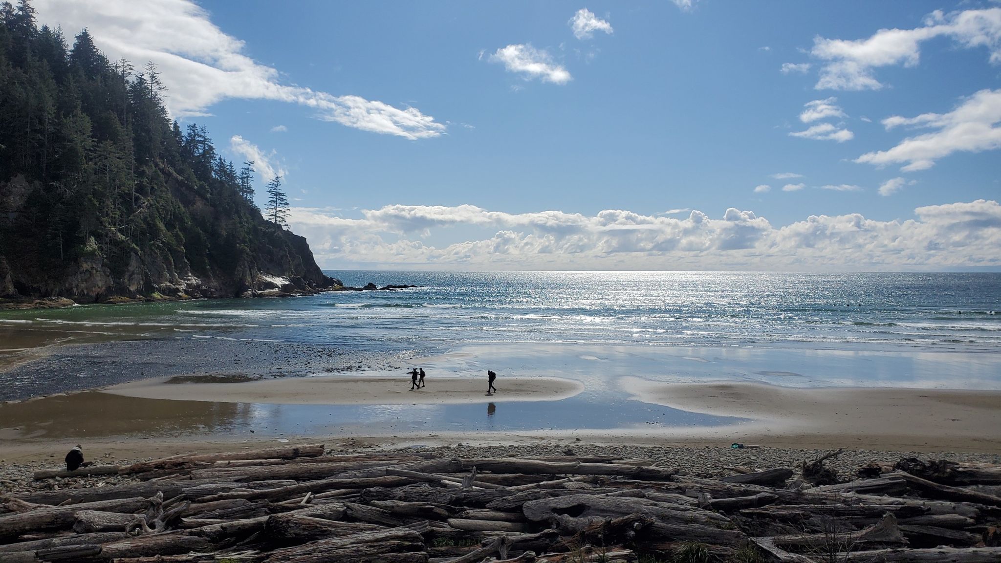Sunny beach with people, driftwood, ocean, and a forested cliff under blue sky. - Short Sand Beach Trail
