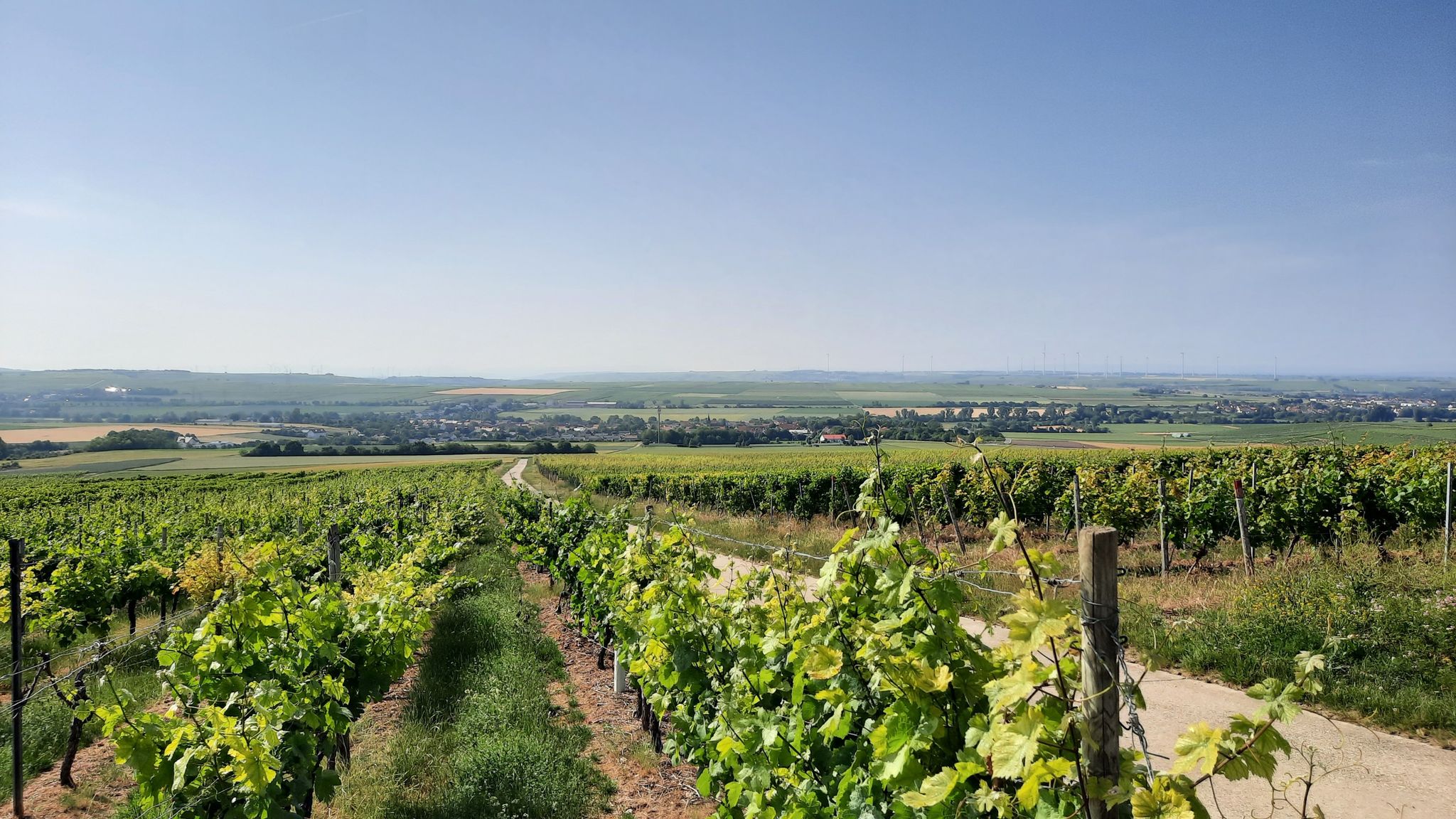 Framersheim