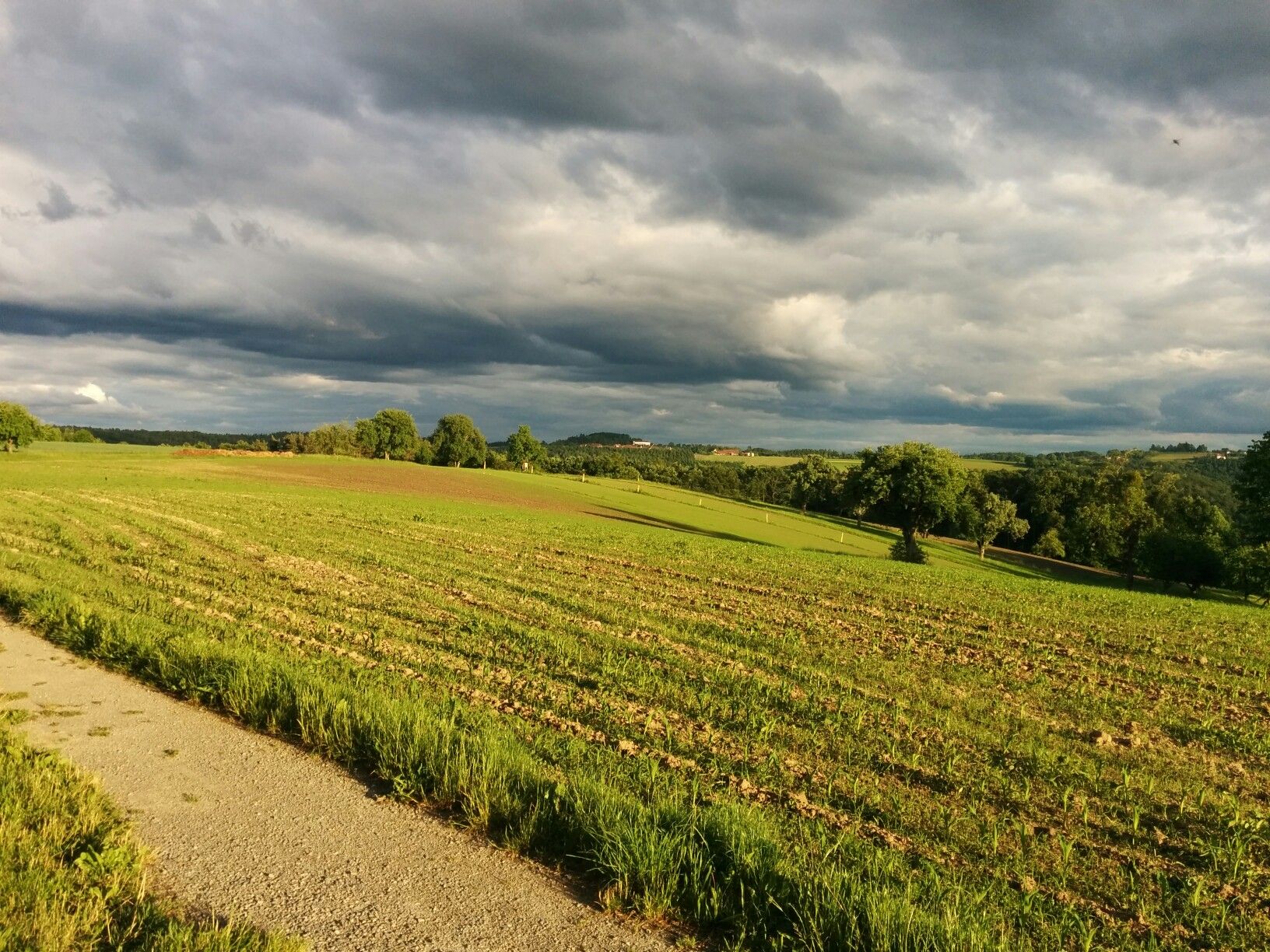 Blick auf Lutzenberg