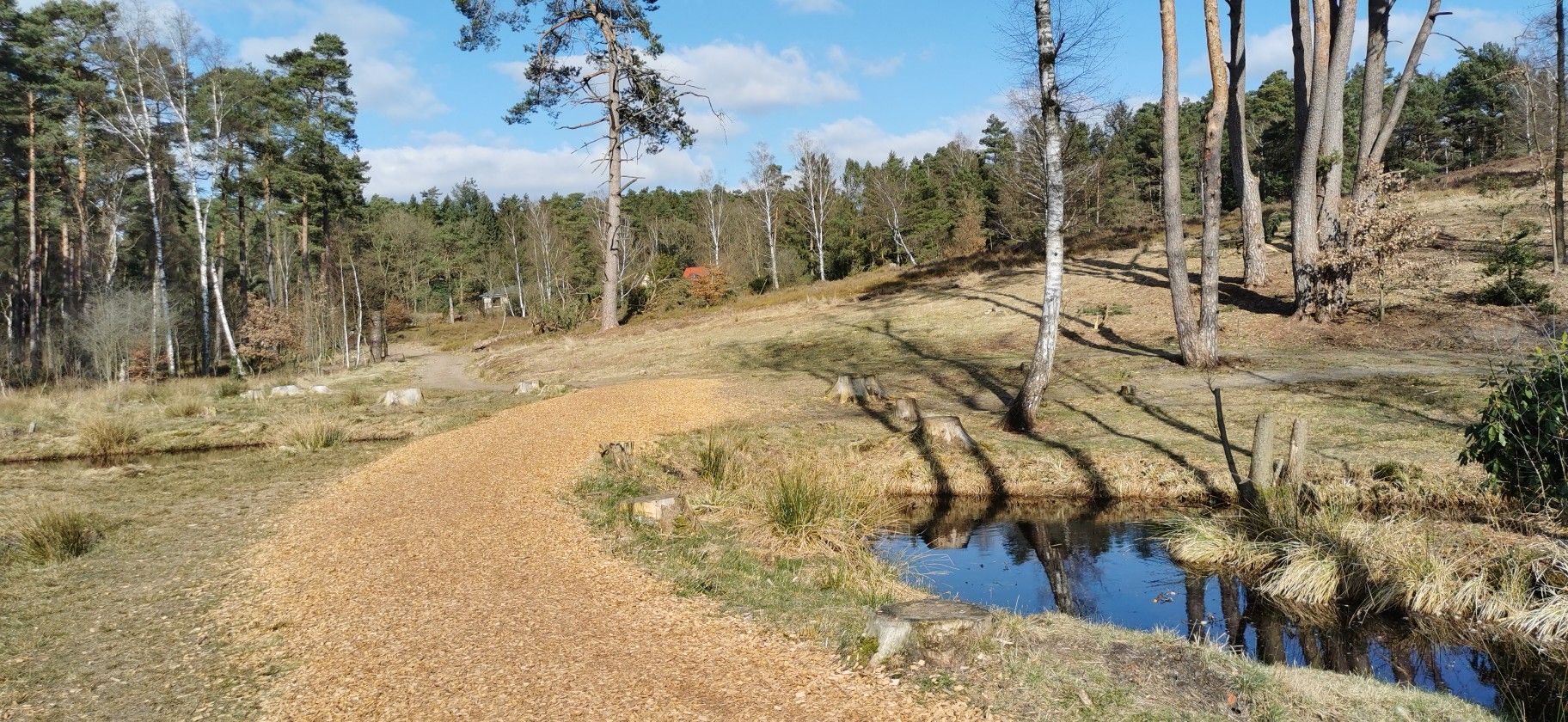 Büsenbach mit Feenteichen