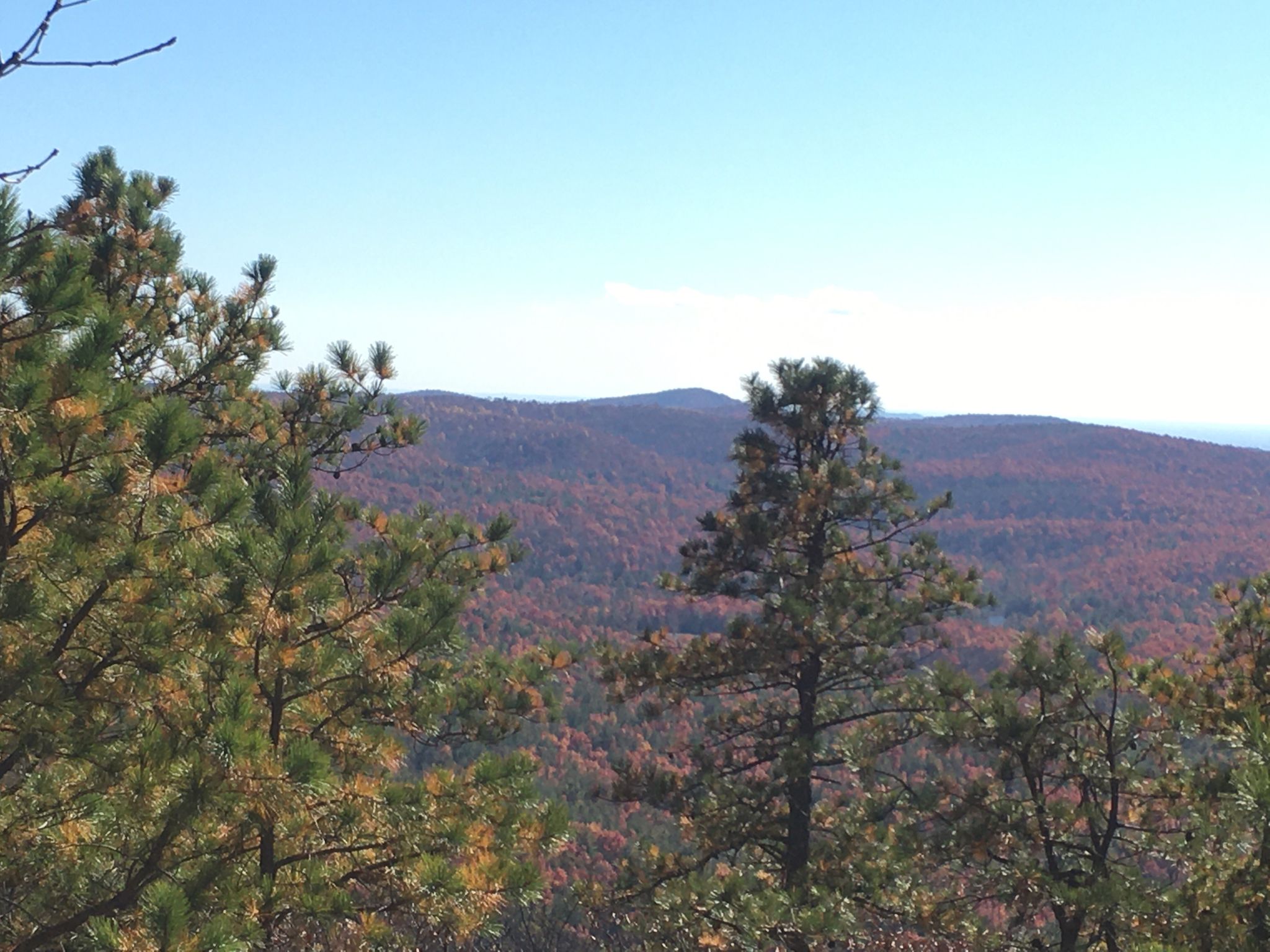 Pine trees frame a vast autumn forest landscape under a clear blue sky. - Stone Mountain Trail