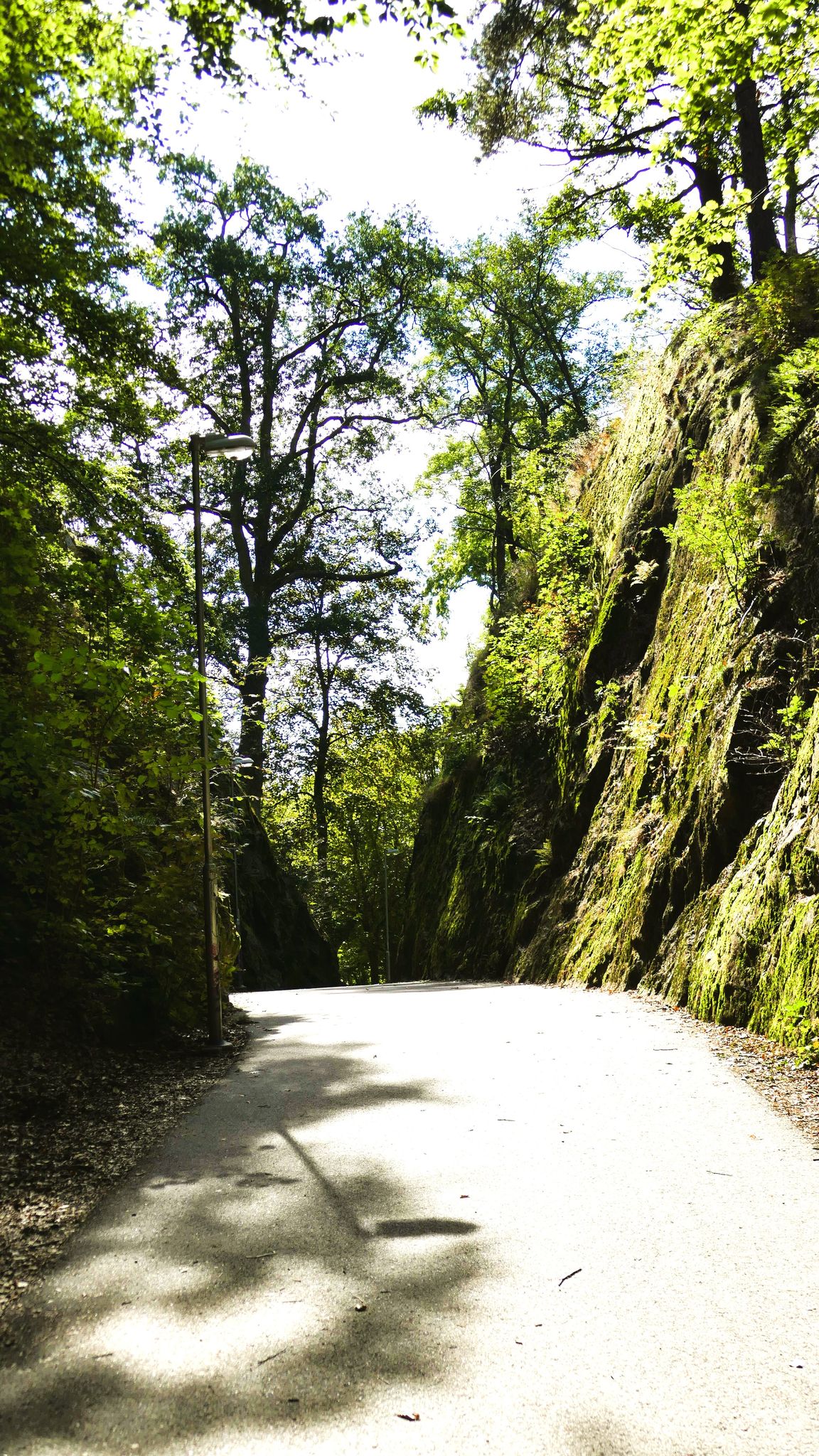 Cykling through Nolhaga Park in Alingsås