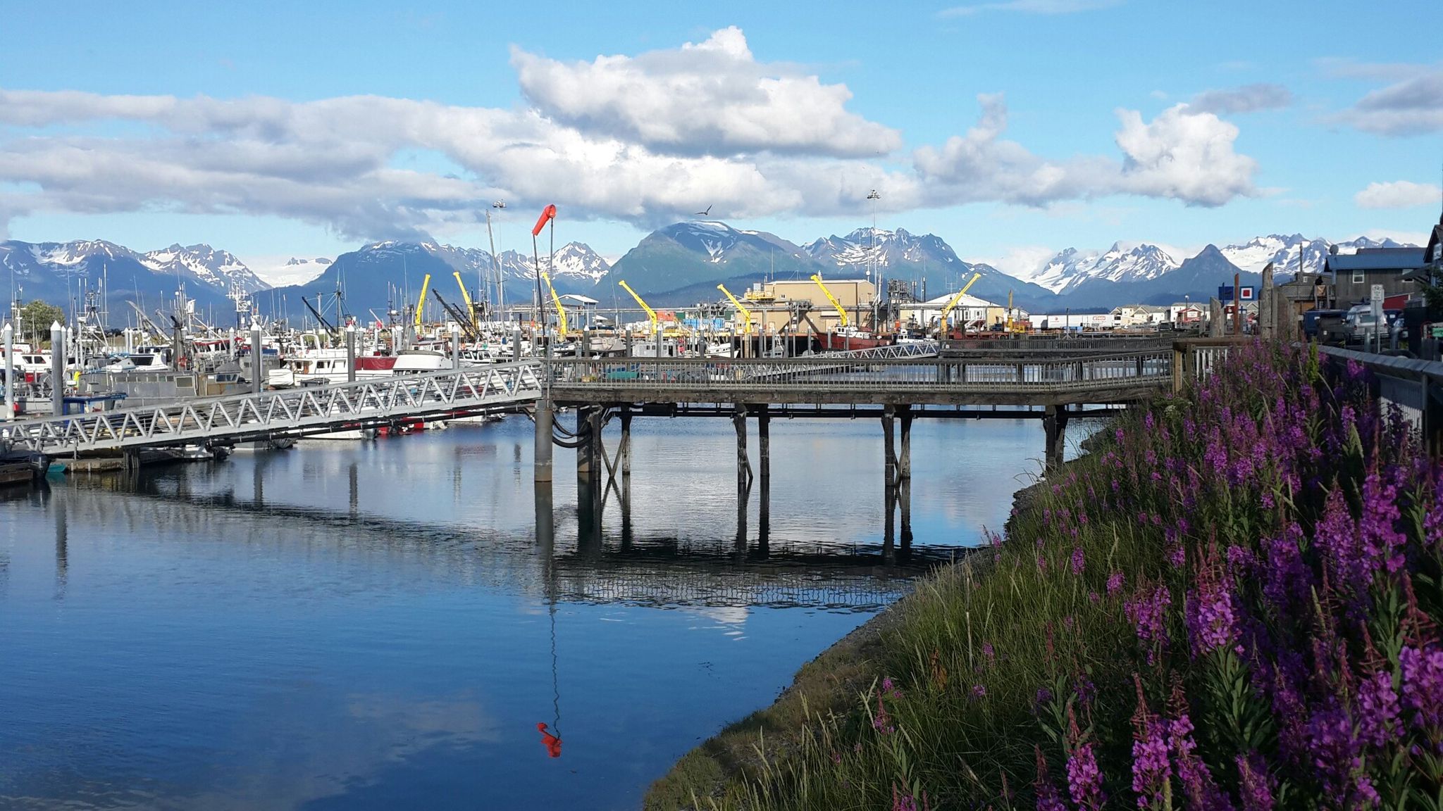AK, Kenai Peninsula, Homer spit