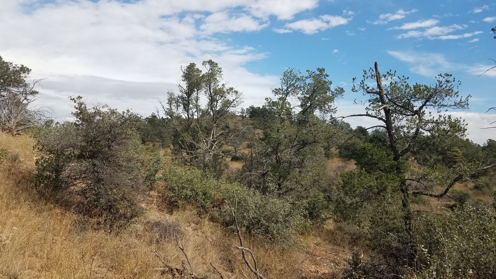 Hilly, dry landscape with sparse trees under a partly cloudy sky. - Prescott Lakes Parkway loop via North Montezuma Street