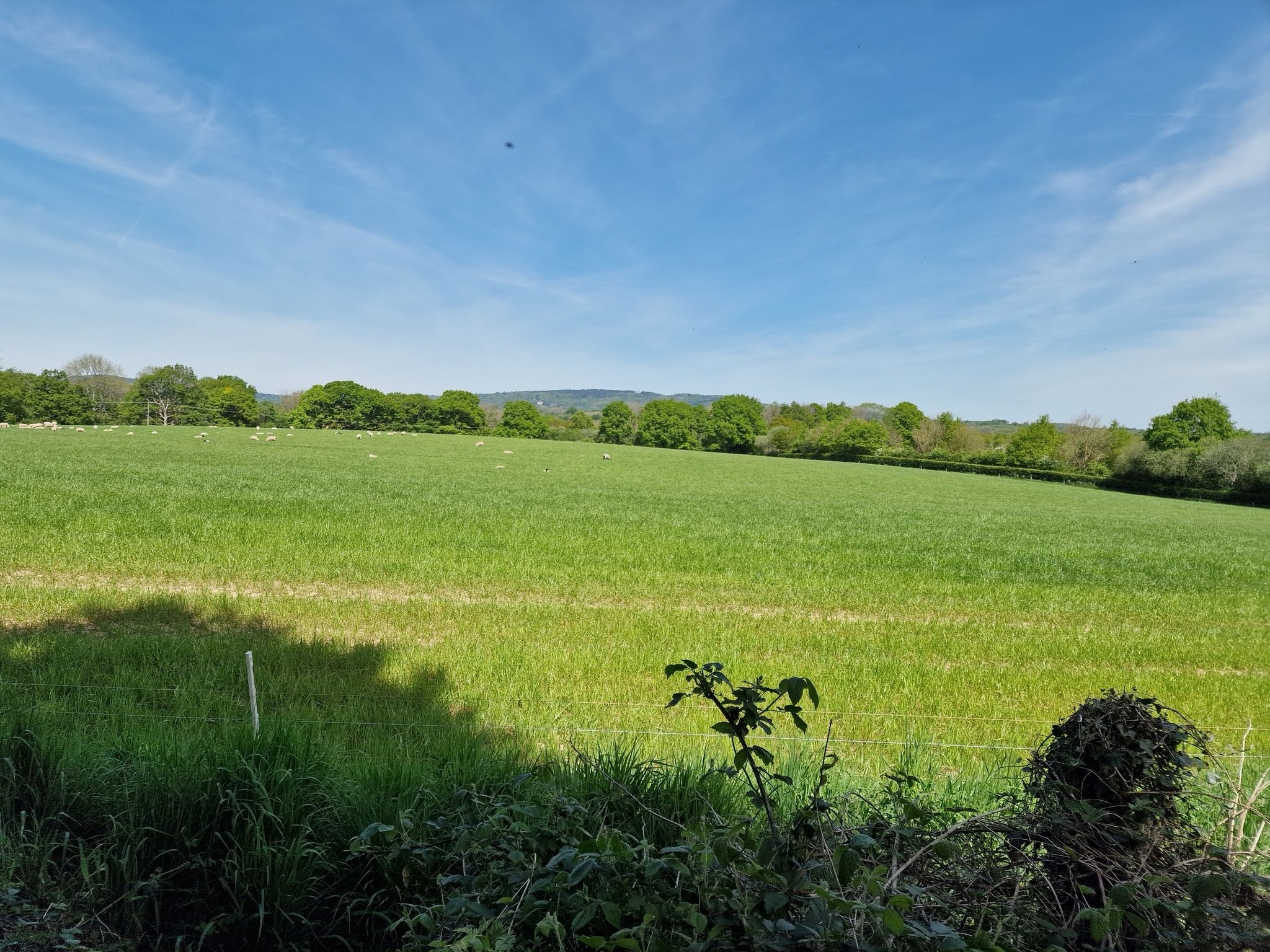 Windows XP