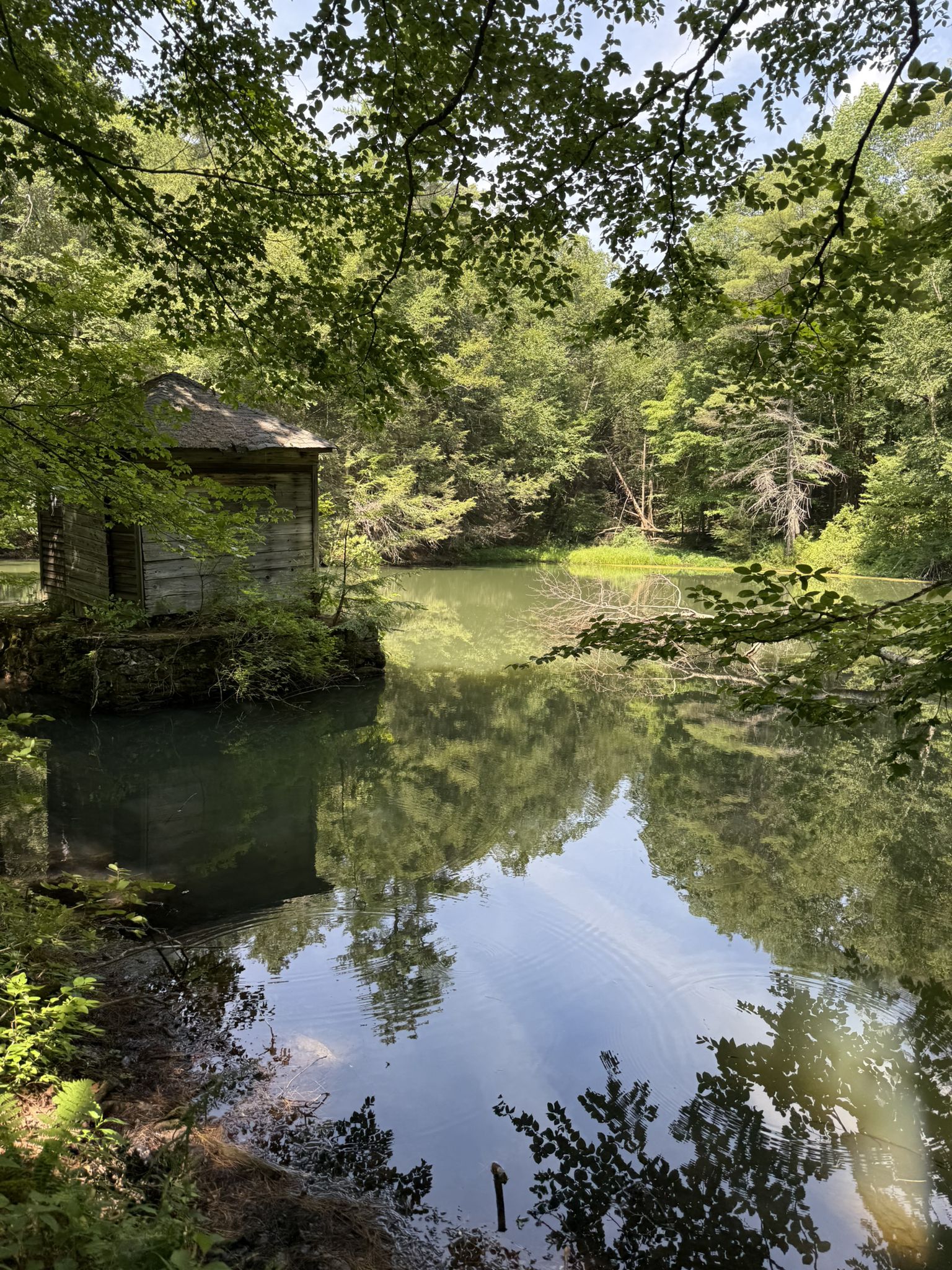 Rustic wooden building by a calm pond reflecting trees and sky, dappled sunlight. - Burbank Trail Loop