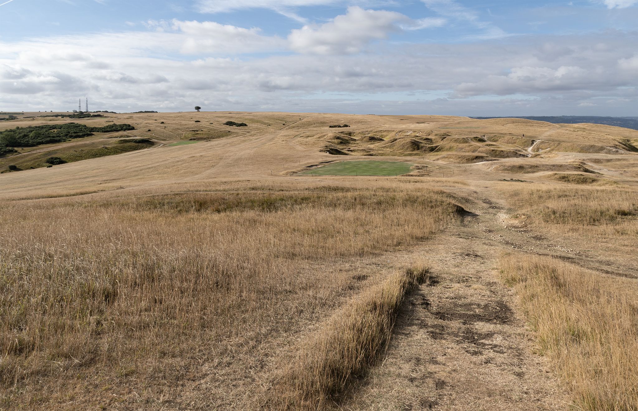 Putting Green amongst the straw.