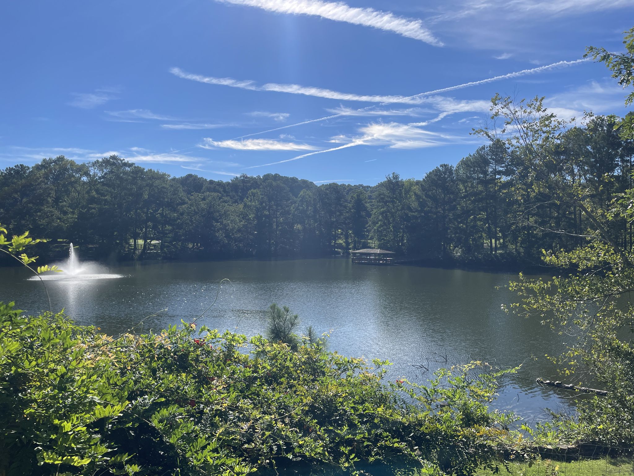 Sunny lake with a fountain, surrounded by lush green trees under a blue sky. - Sims Lake Park Trail