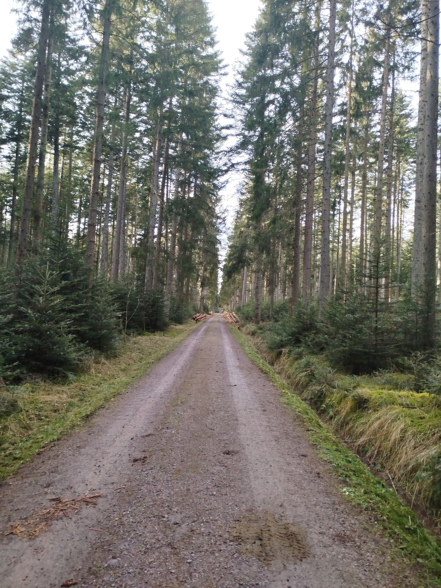 unserer schönes Schwarzwald