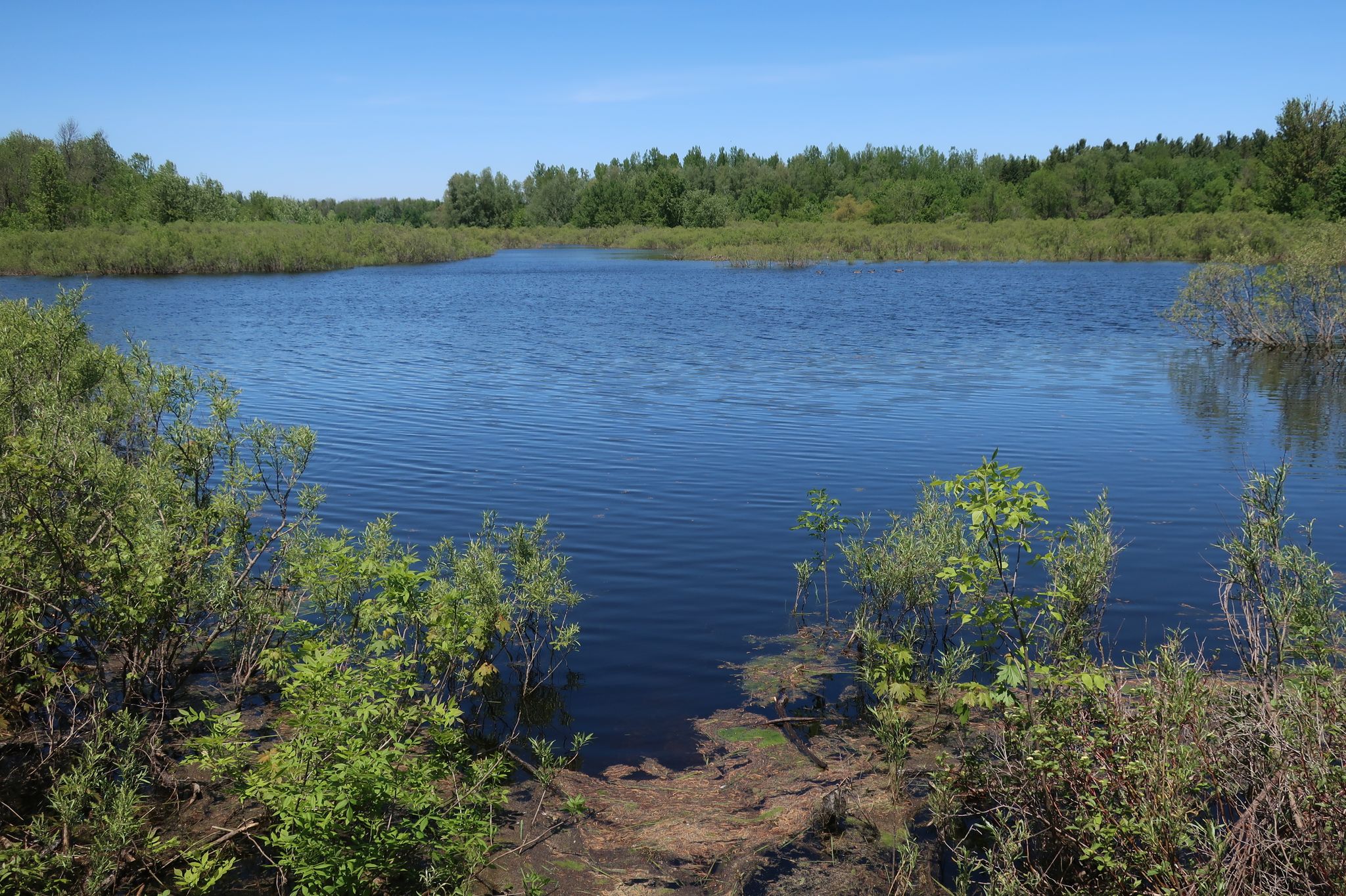 Belwood Lake