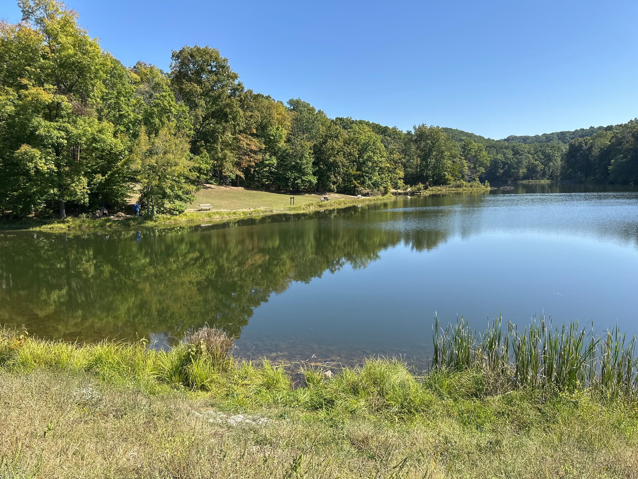 A serene lake with green trees and grassy banks under a clear blue sky. - Ogle Lake and Taylor Ridge Trail Loop