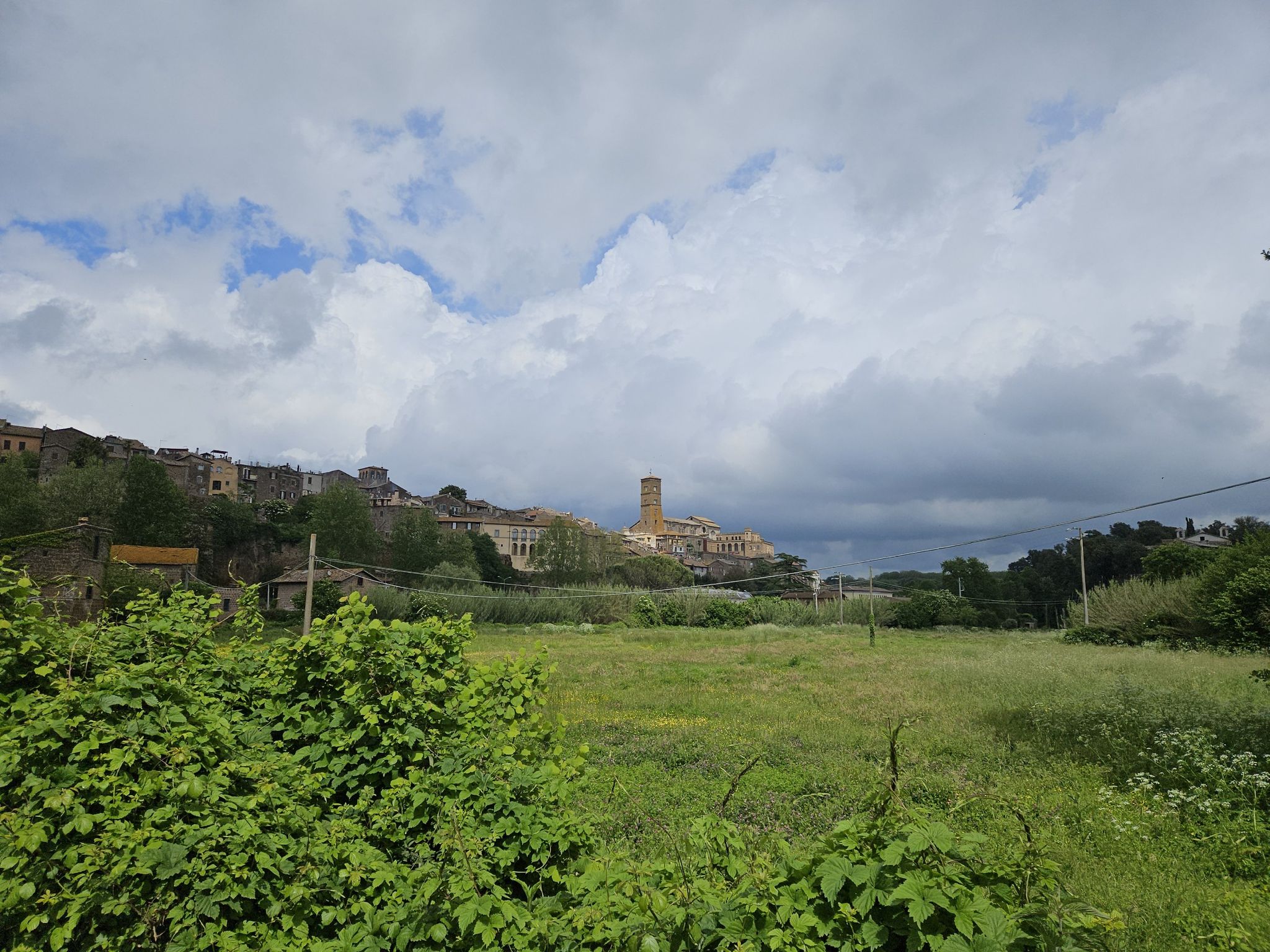 Sutri