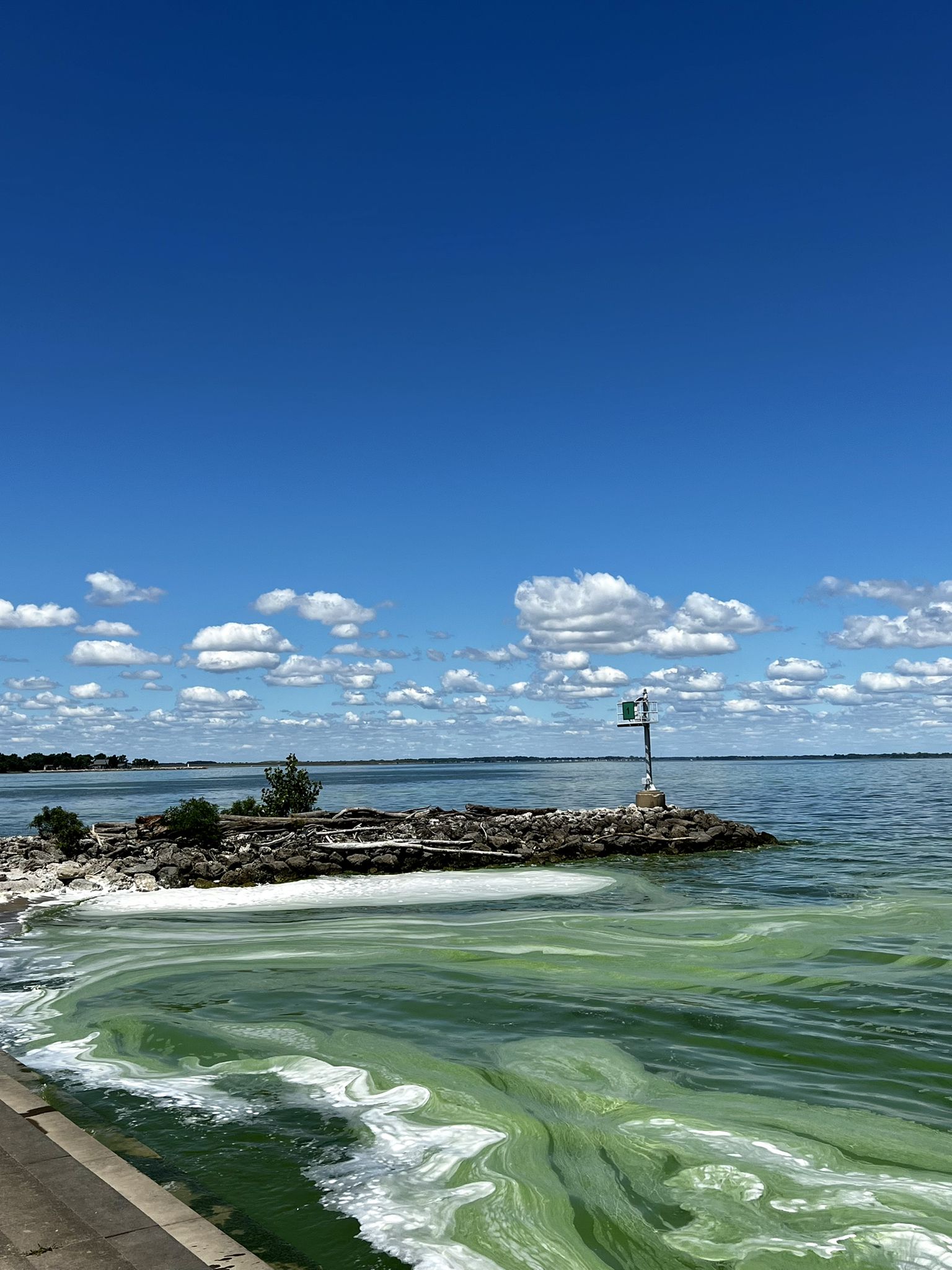 Bright sunny day over water with green algae and a rocky breakwater. - Inland Lake & Boardwalk Trail loop
