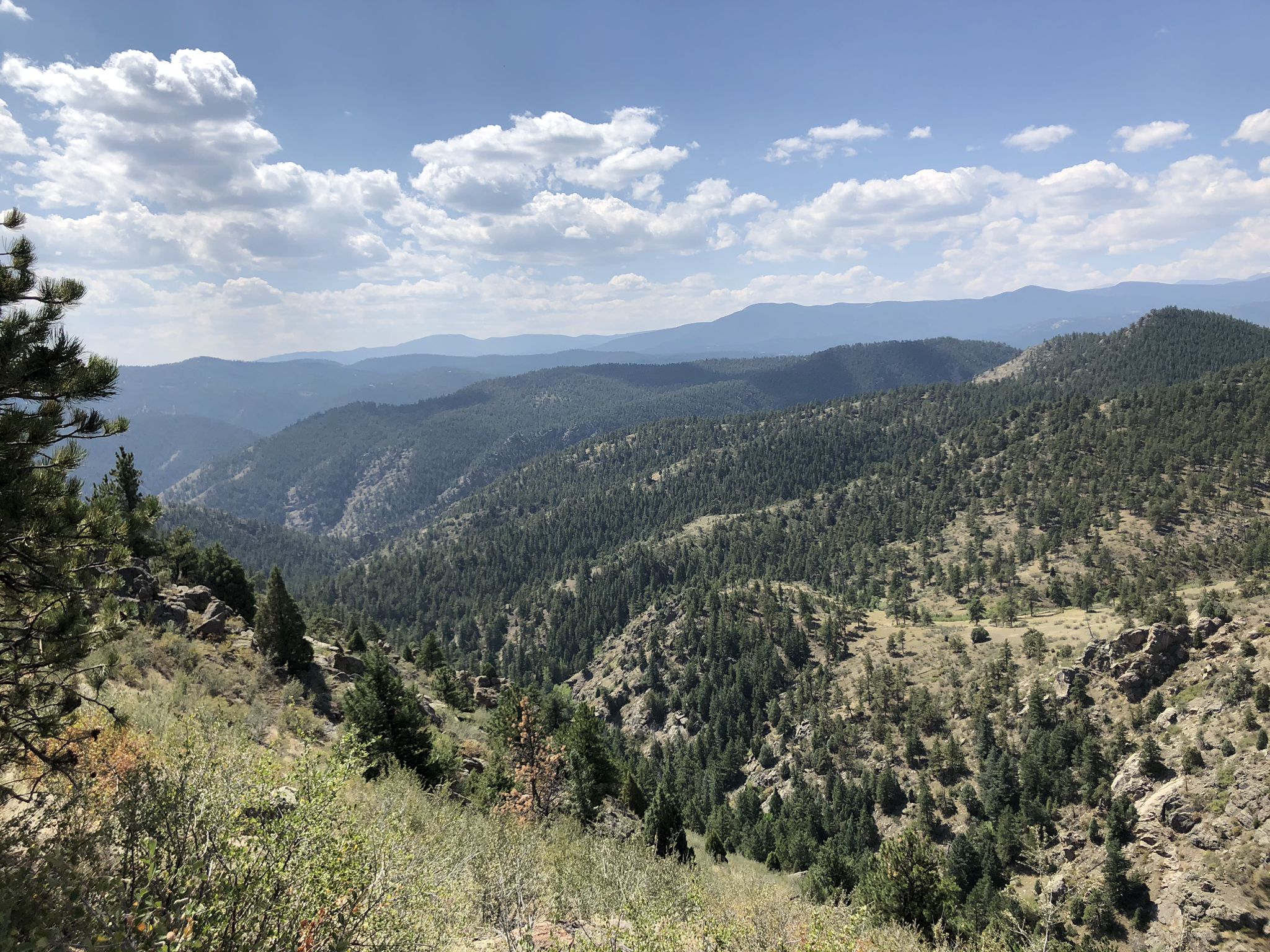 Expansive view of forested mountain valleys under a bright, cloudy sky. - Centennial Cone loop