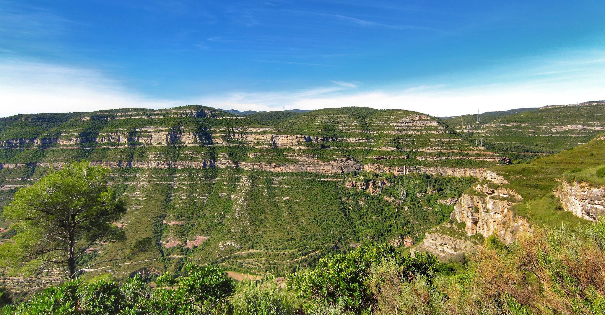 Puig de Llort i Cingles de la Pineda