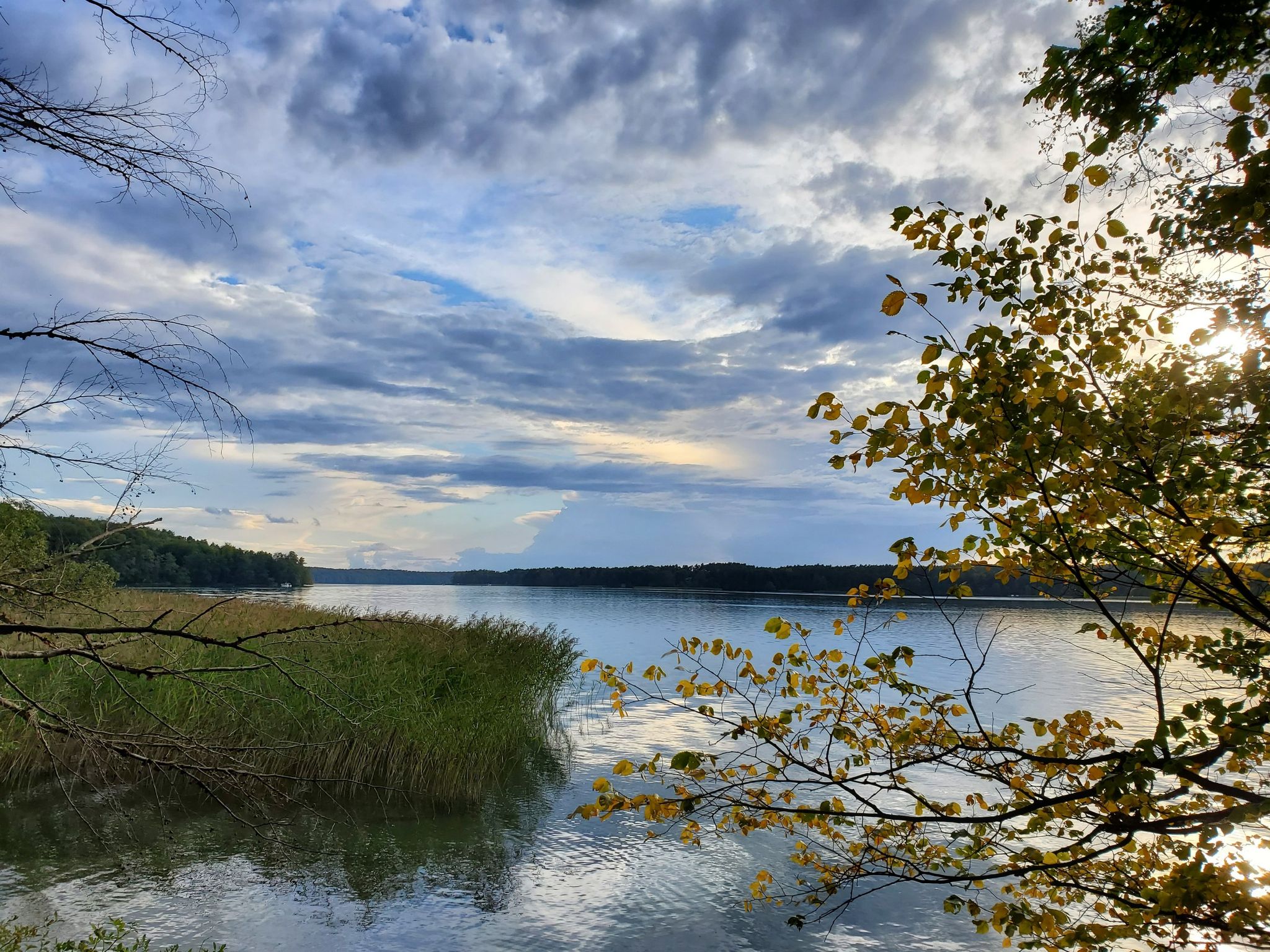 Blick auf den Werbellinsee