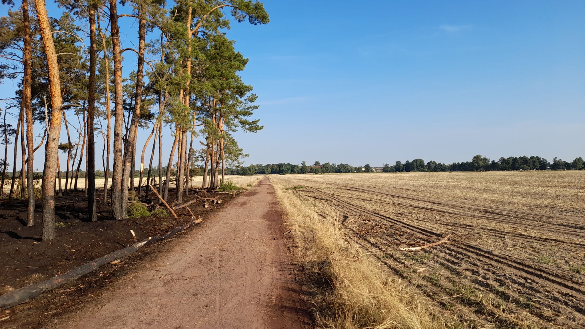 Der Radweg nach Gommern, links Wladbrand