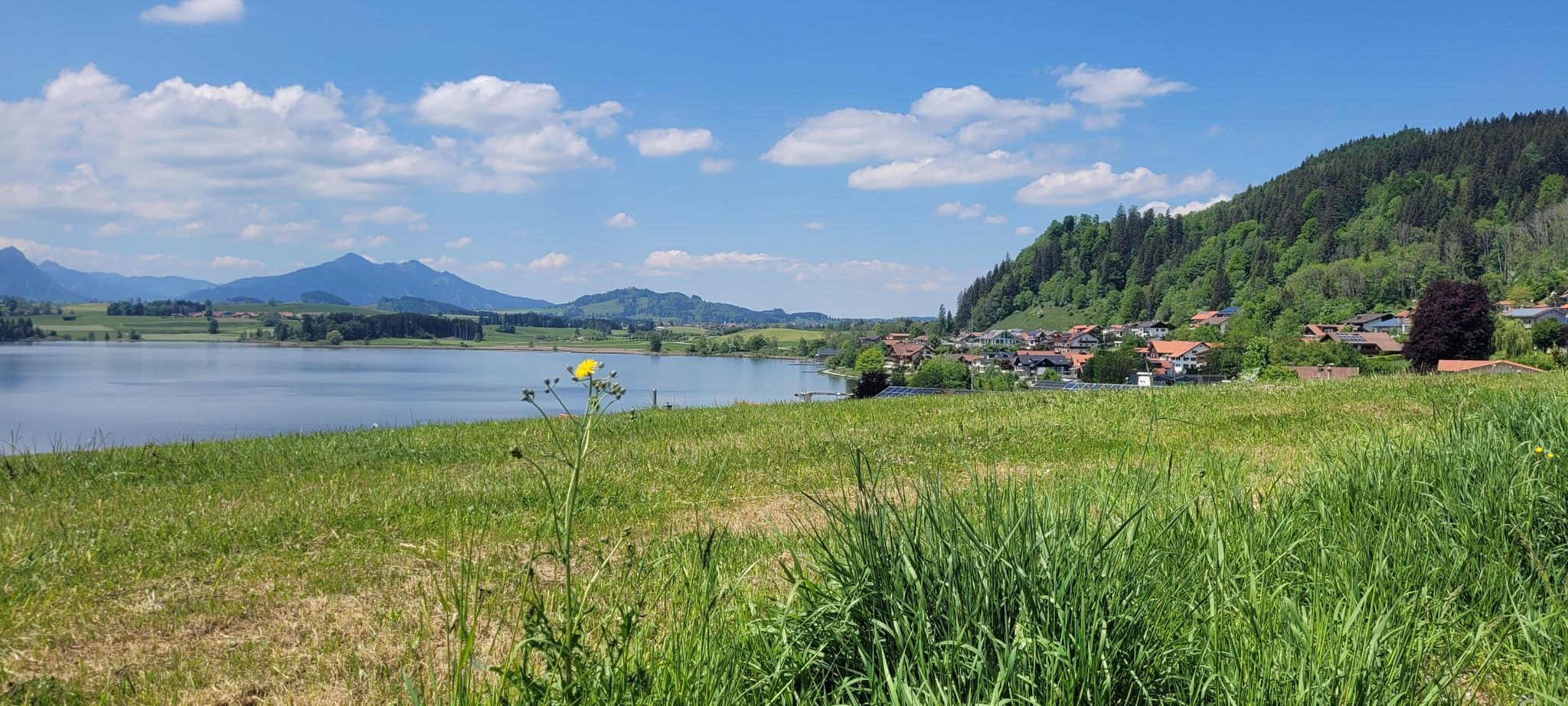 Hopfen am See