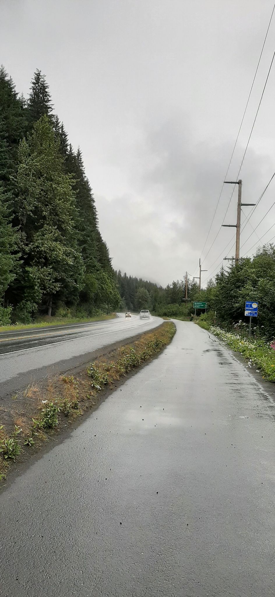 Wet road and path next to a forest under an overcast sky. - Seward Highway & Exit Glacier Road