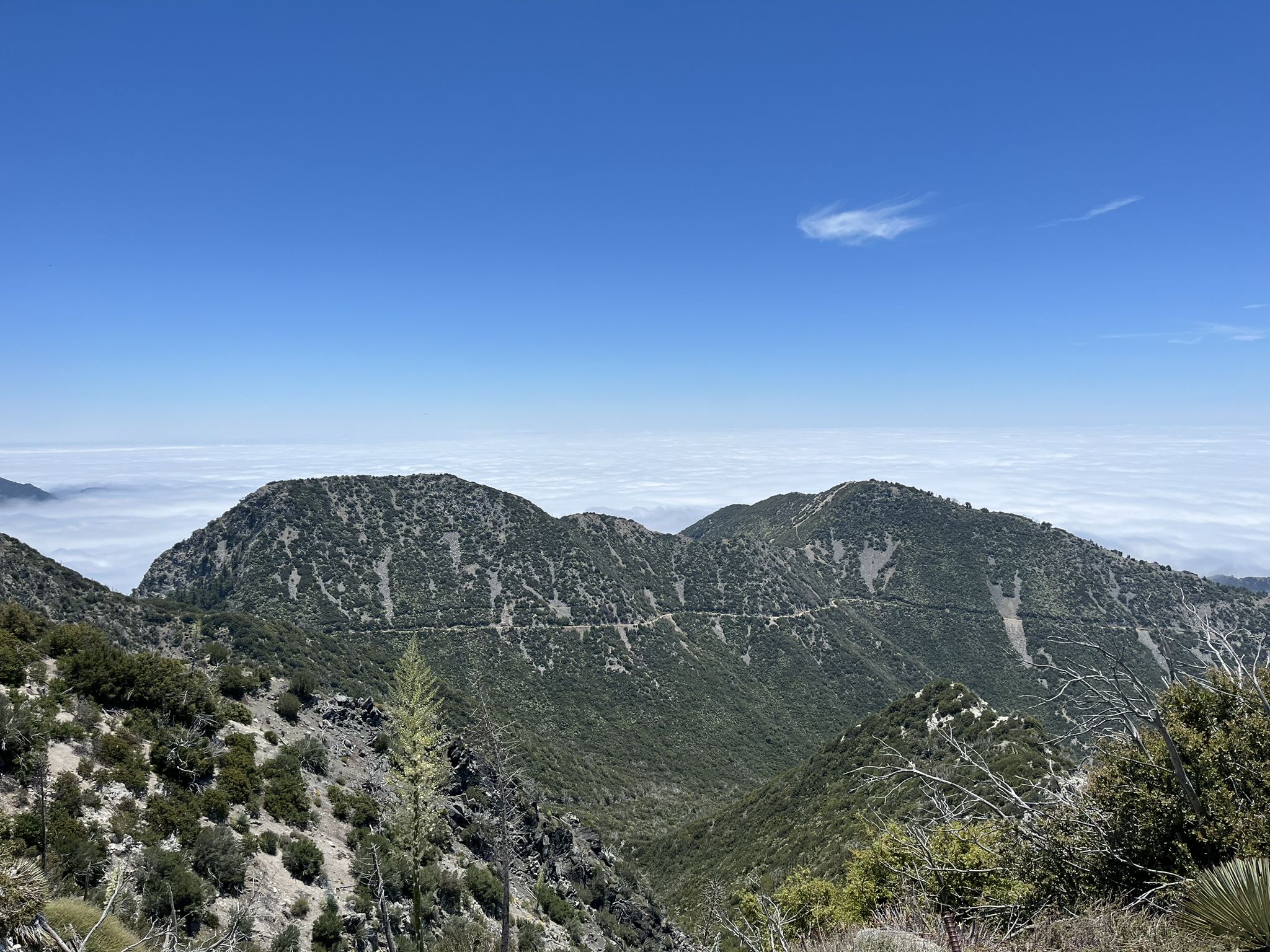 Green mountain peaks rise above a vast cloud inversion under a clear blue sky. - Mount Disappointment – Mueller Tunnel loop from Altadena