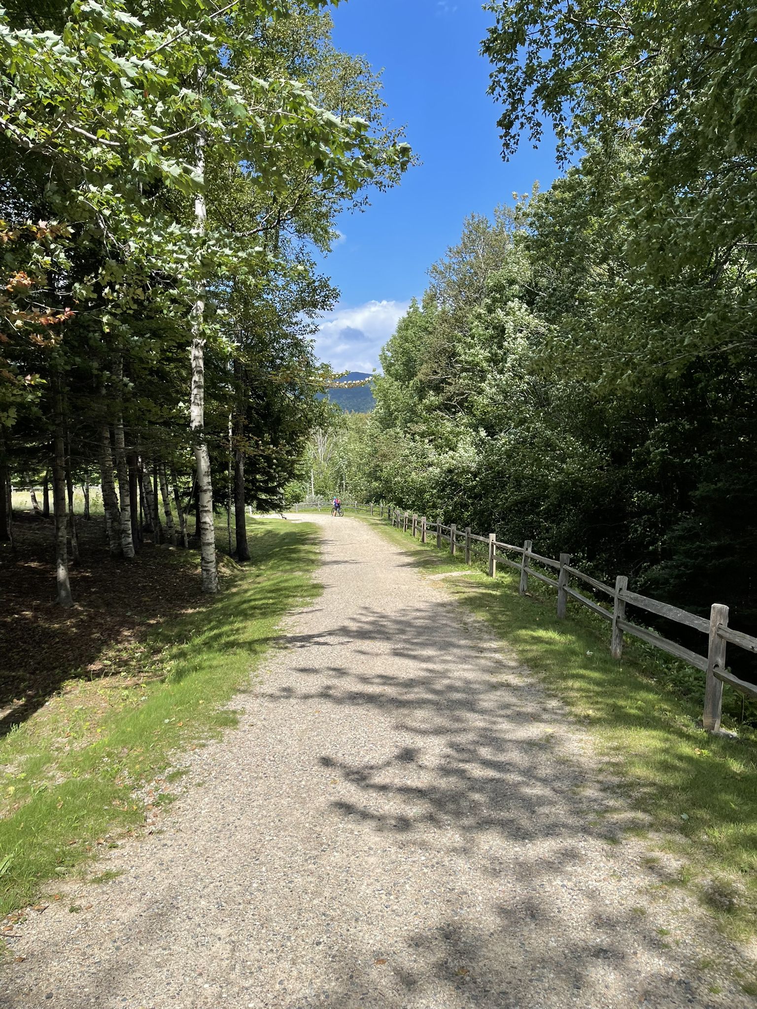 Sunny gravel path winding through green trees with a wooden fence. - Great Glen Trails outer loop