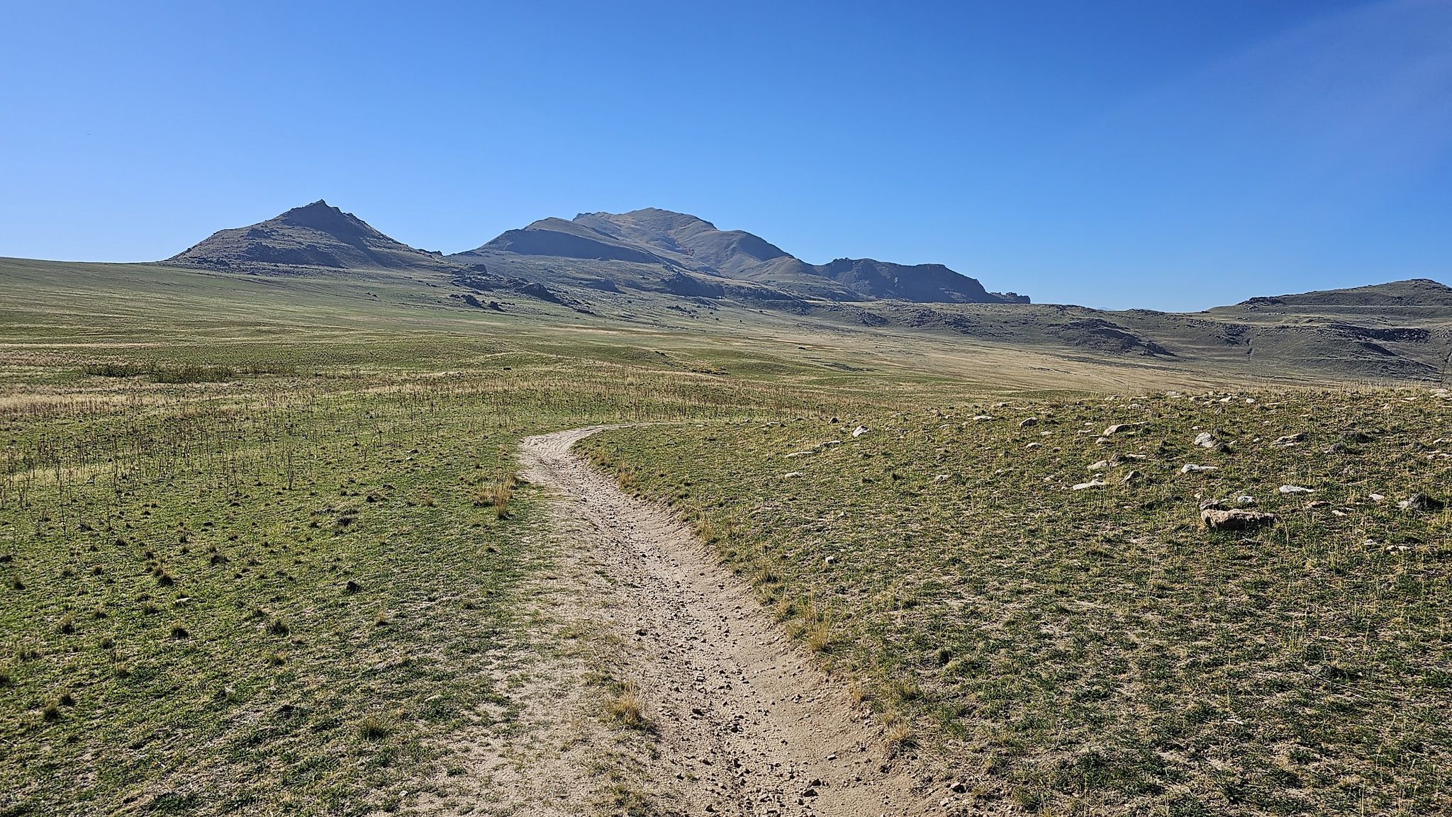 A winding dirt path through a vast grassy plain with distant mountains. - Elephant Head – White Rock Loop loop from Buffalo Point