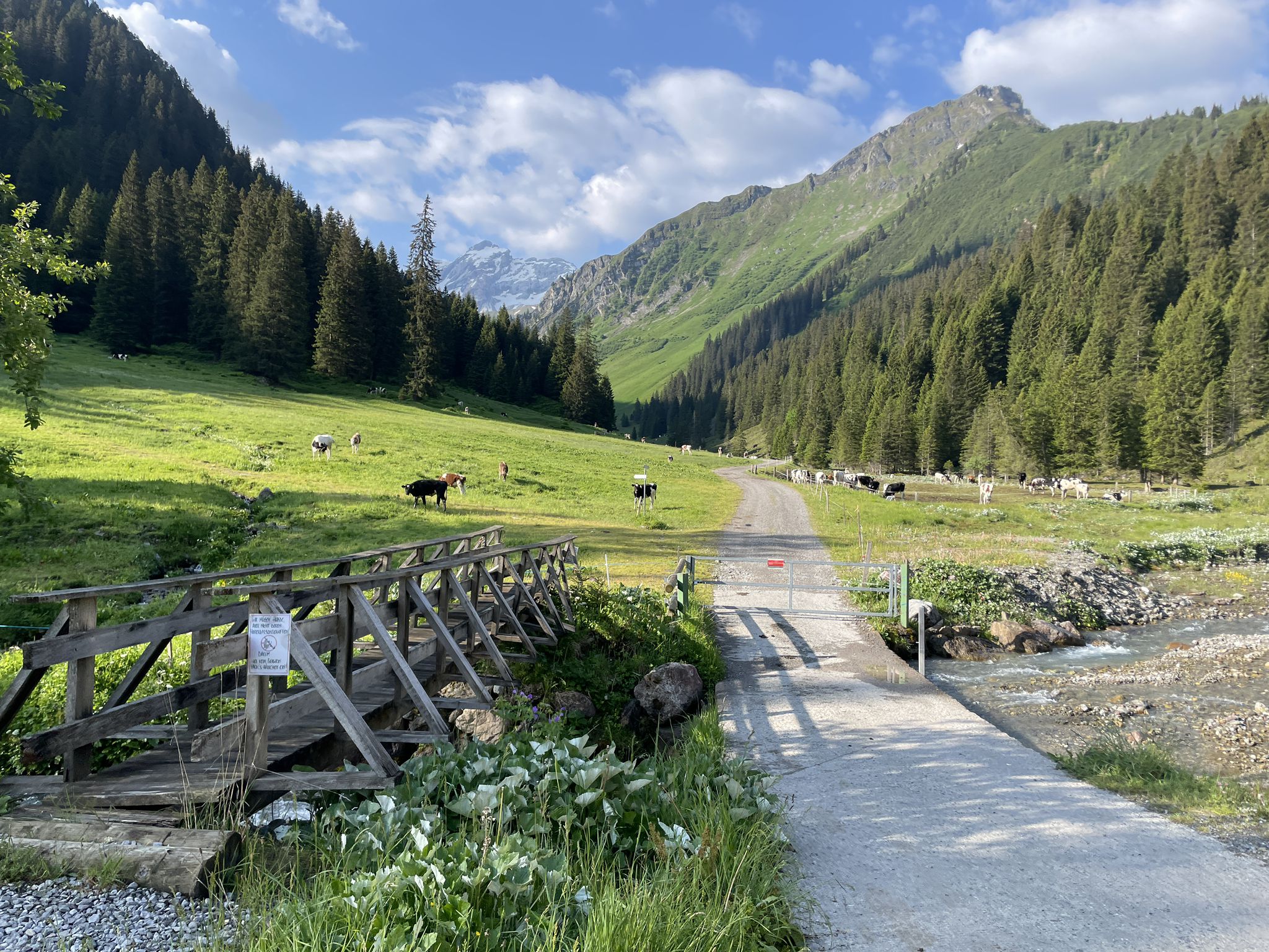 Start nach Anfahrt mit Wanderbus Vandans zur Haltestelle Alpengasthof Rellstal