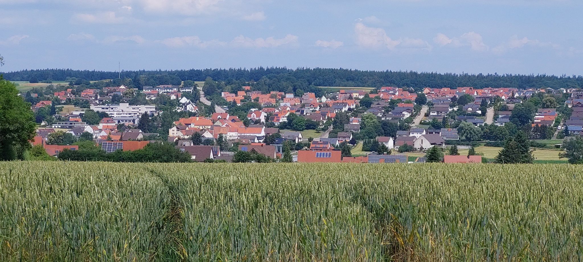 Blick auf Monheim