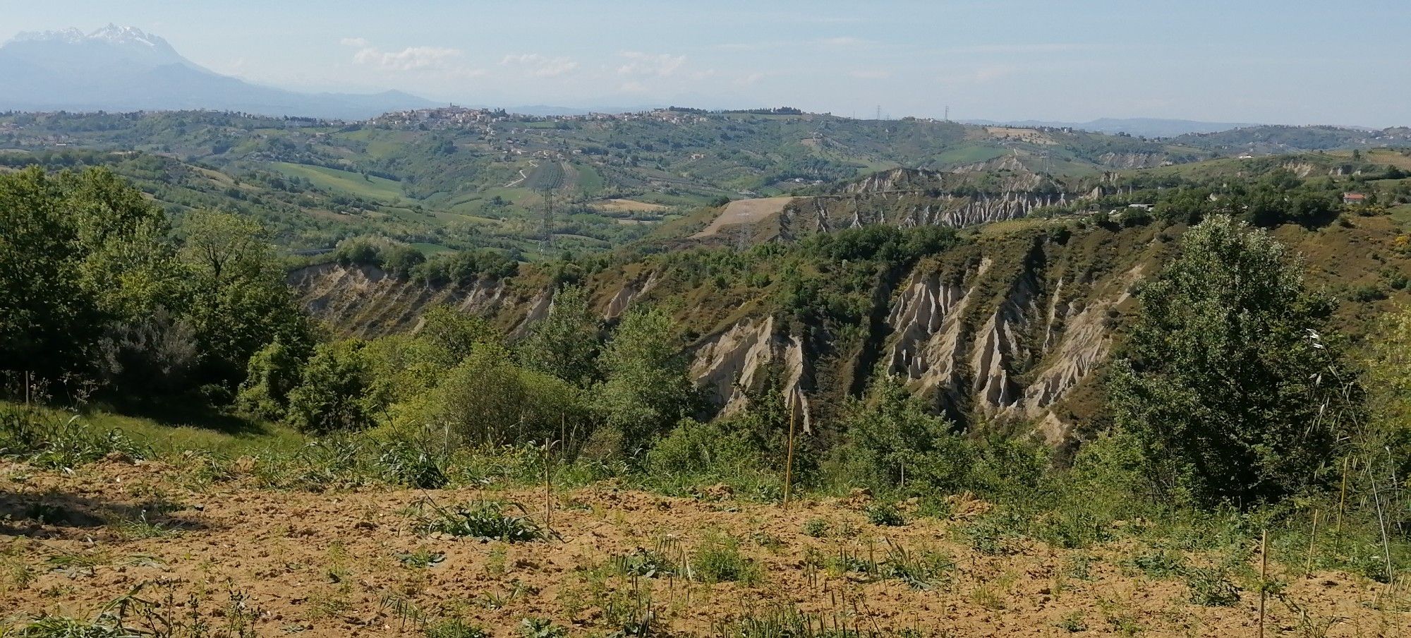 Reaerva Calanchi