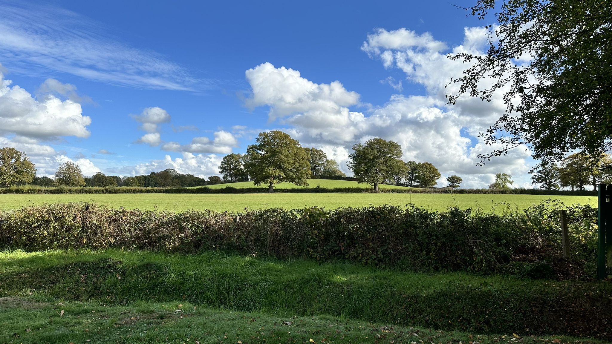 Gravel path in Oxshott - Stunning views