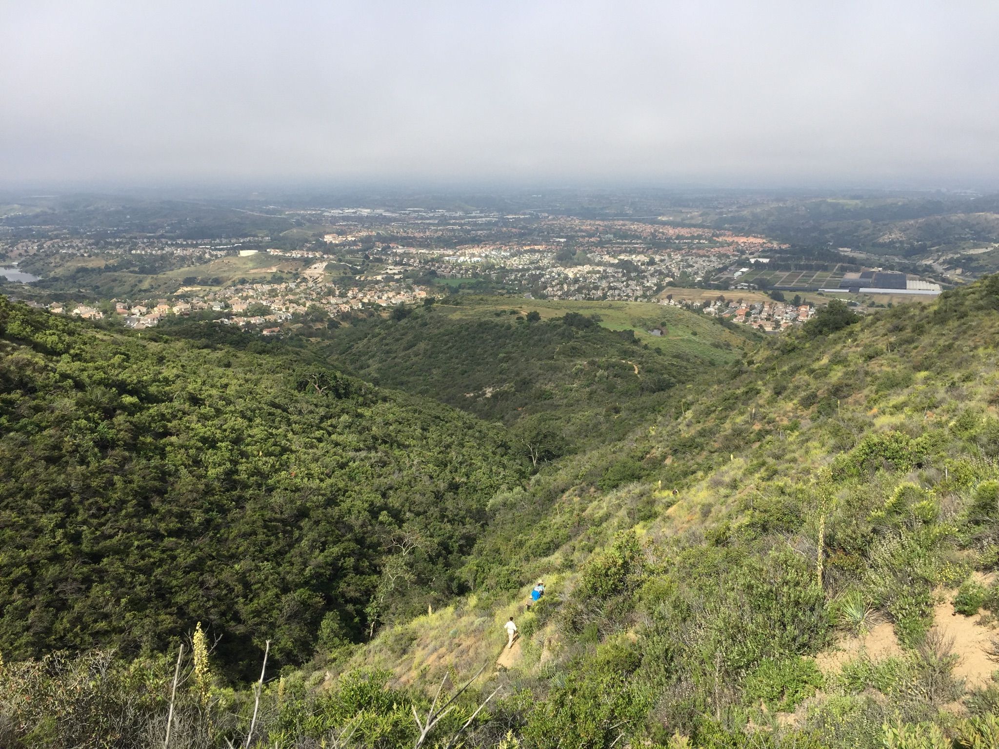 Overcast view of green valleys and a distant city, with a person hiking. - Los Pinos Peak and Bell Ridge Loop