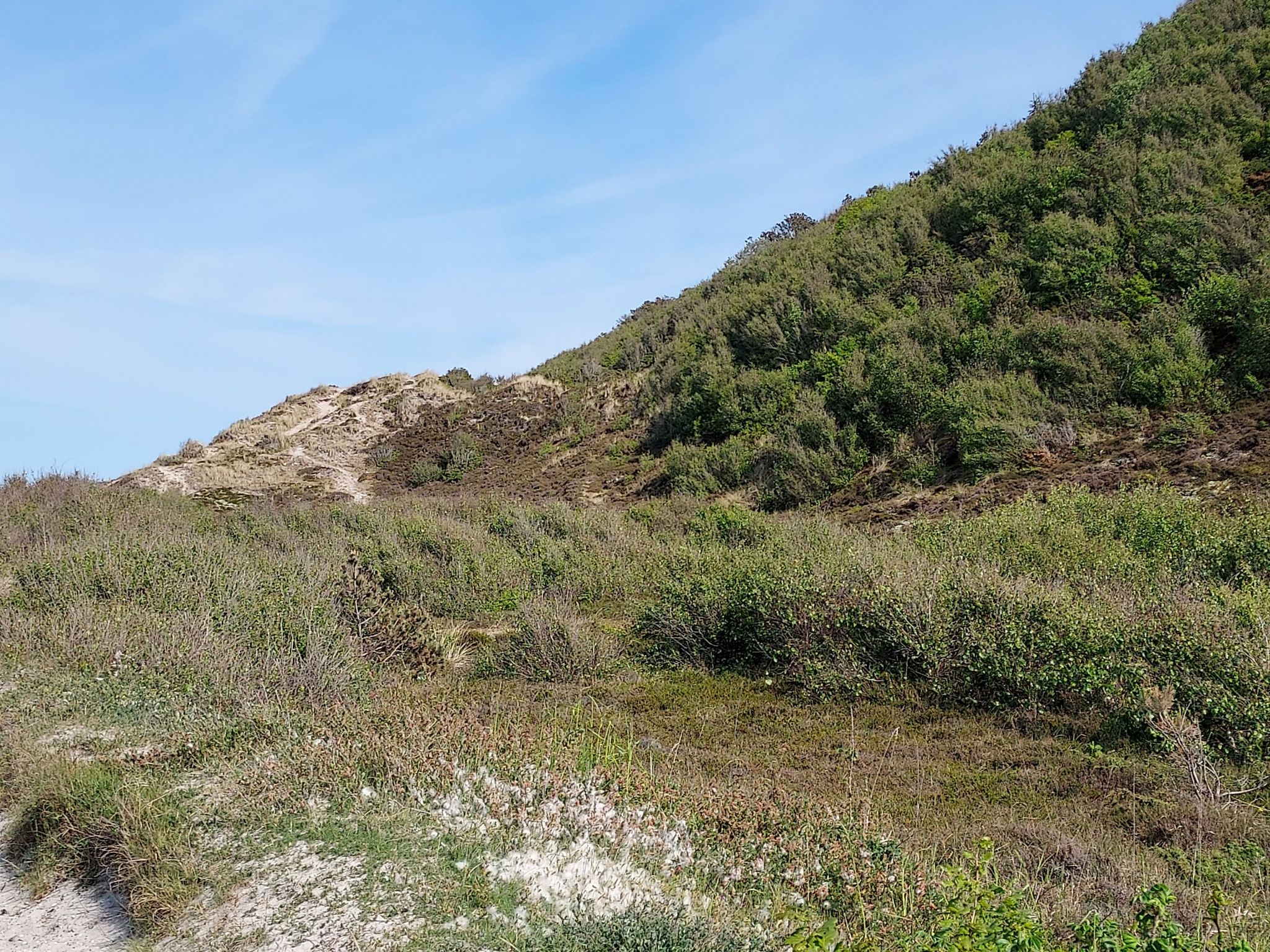Auf dem Weg nach Nordbjerg