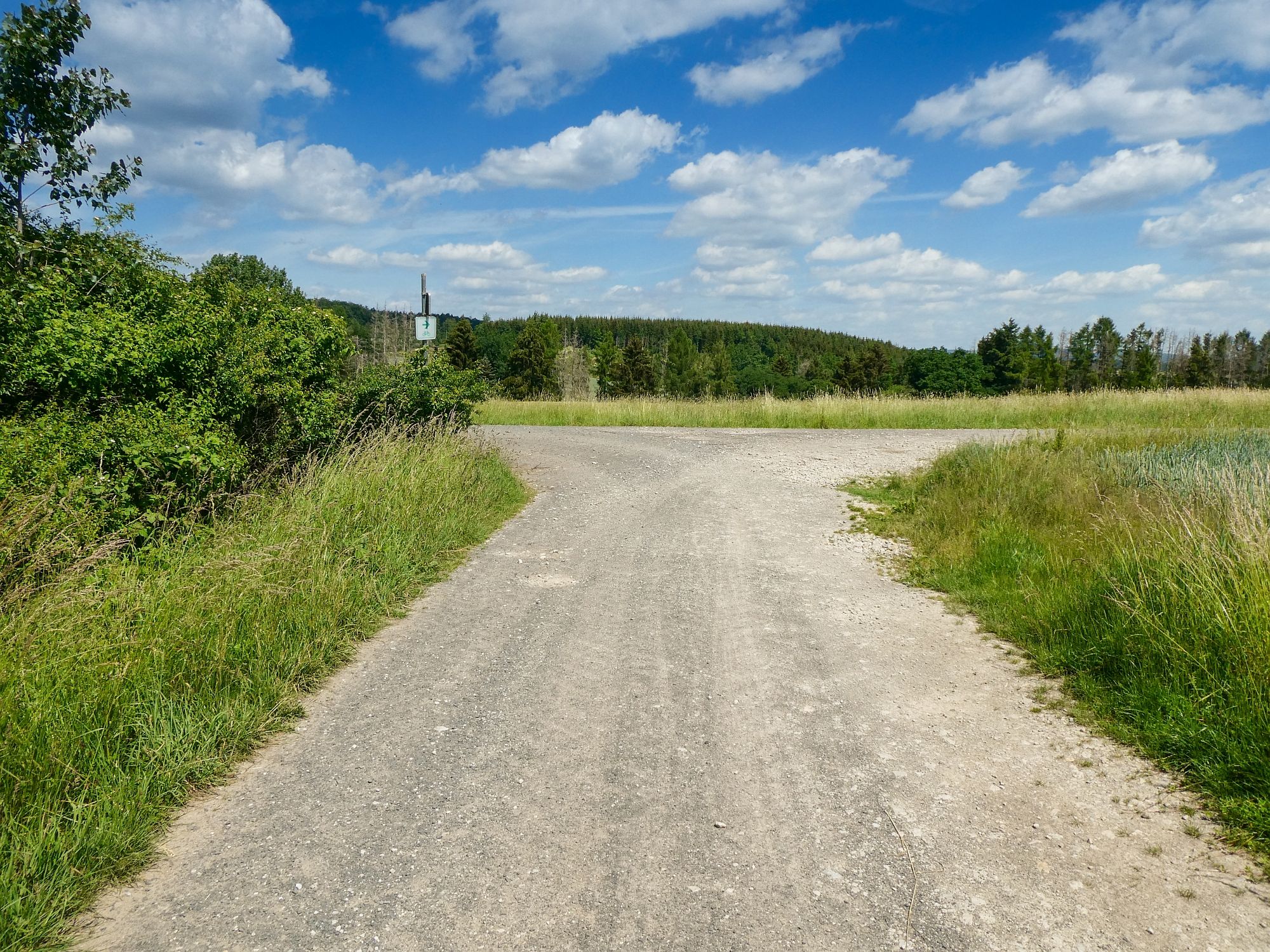 Weg zwischen Eberhausen und Löwenhagen