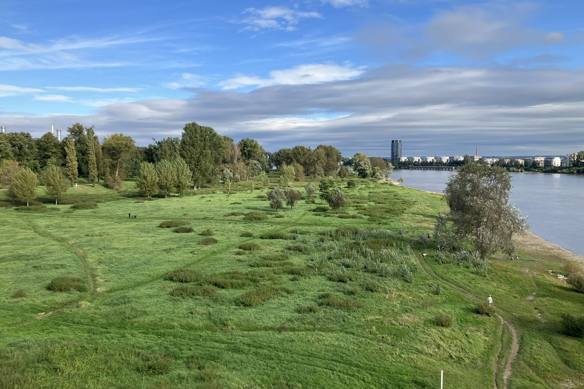 Aufschüttungen (Trümmer) in der Riehler Rheinaue