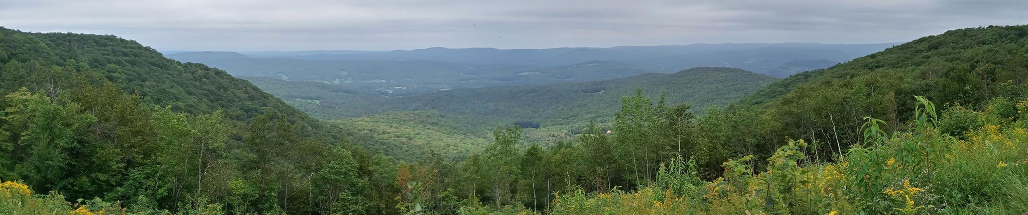 A panoramic view of vast green forested mountains and valleys under a cloudy sky. - Lulu Brook and Honwee Loop Trail