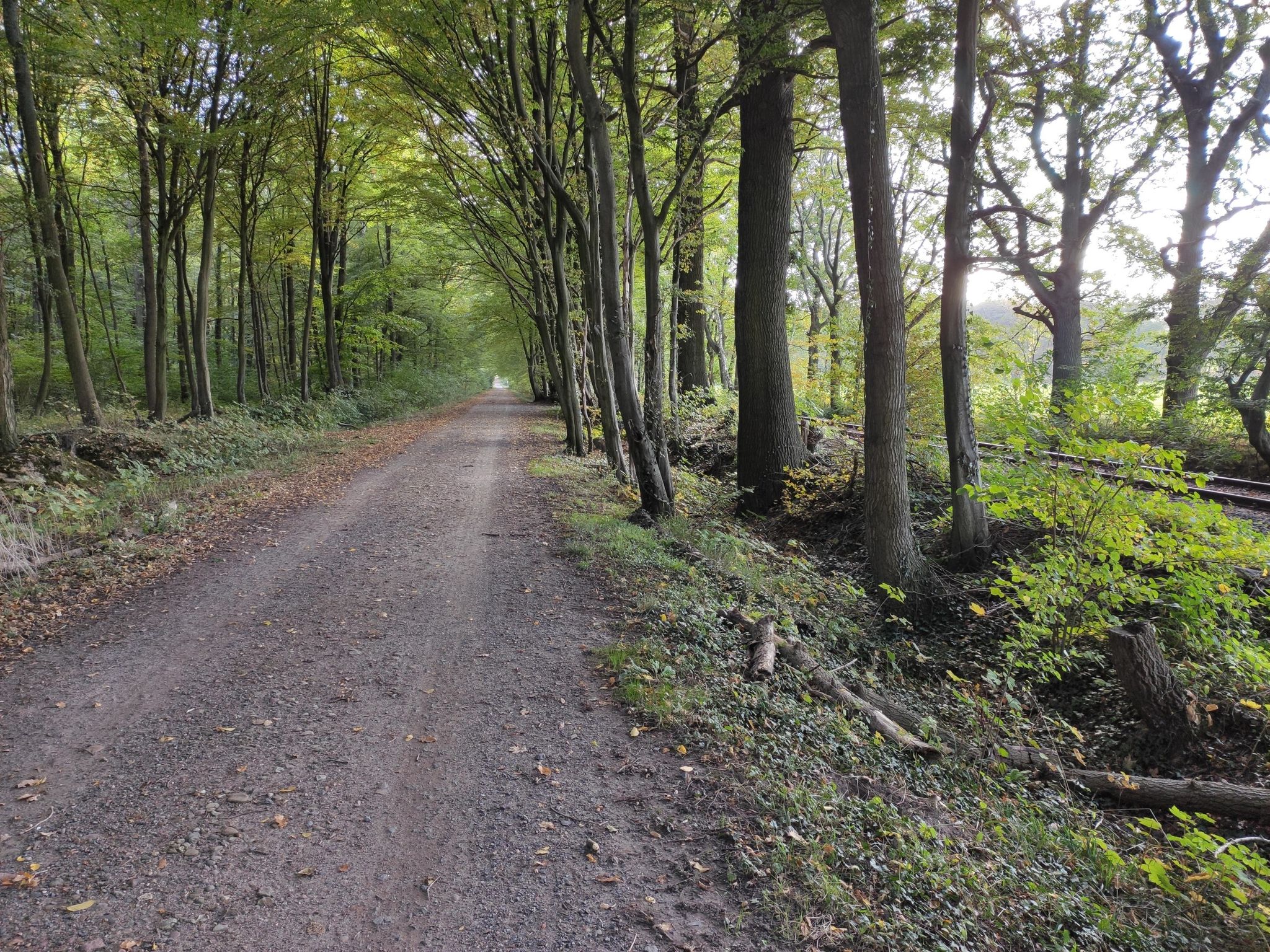 Weg in Richtung Glinder Horst