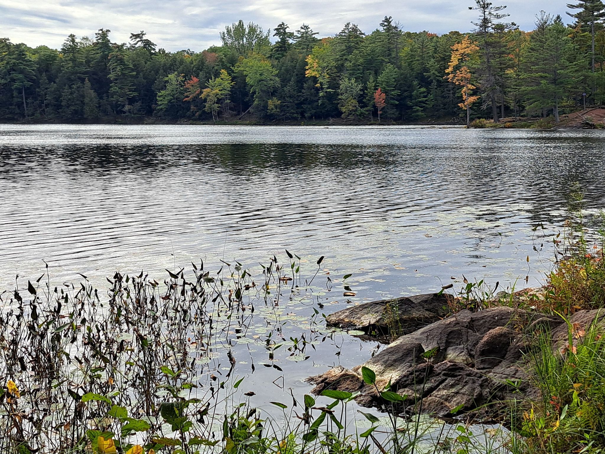 Doe Lake 