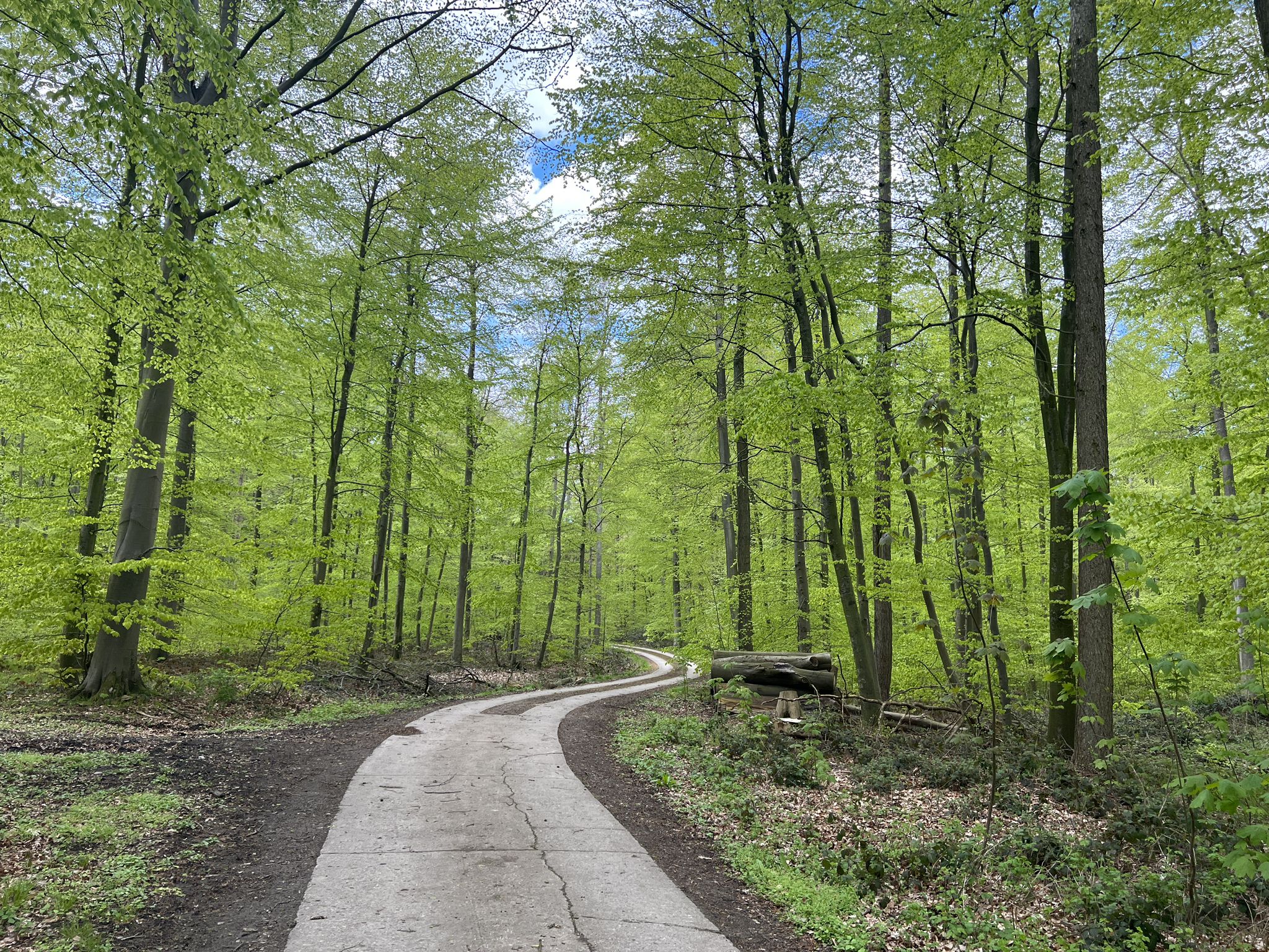 auf der Streck zwischen Schwartbuck und Bendfeld