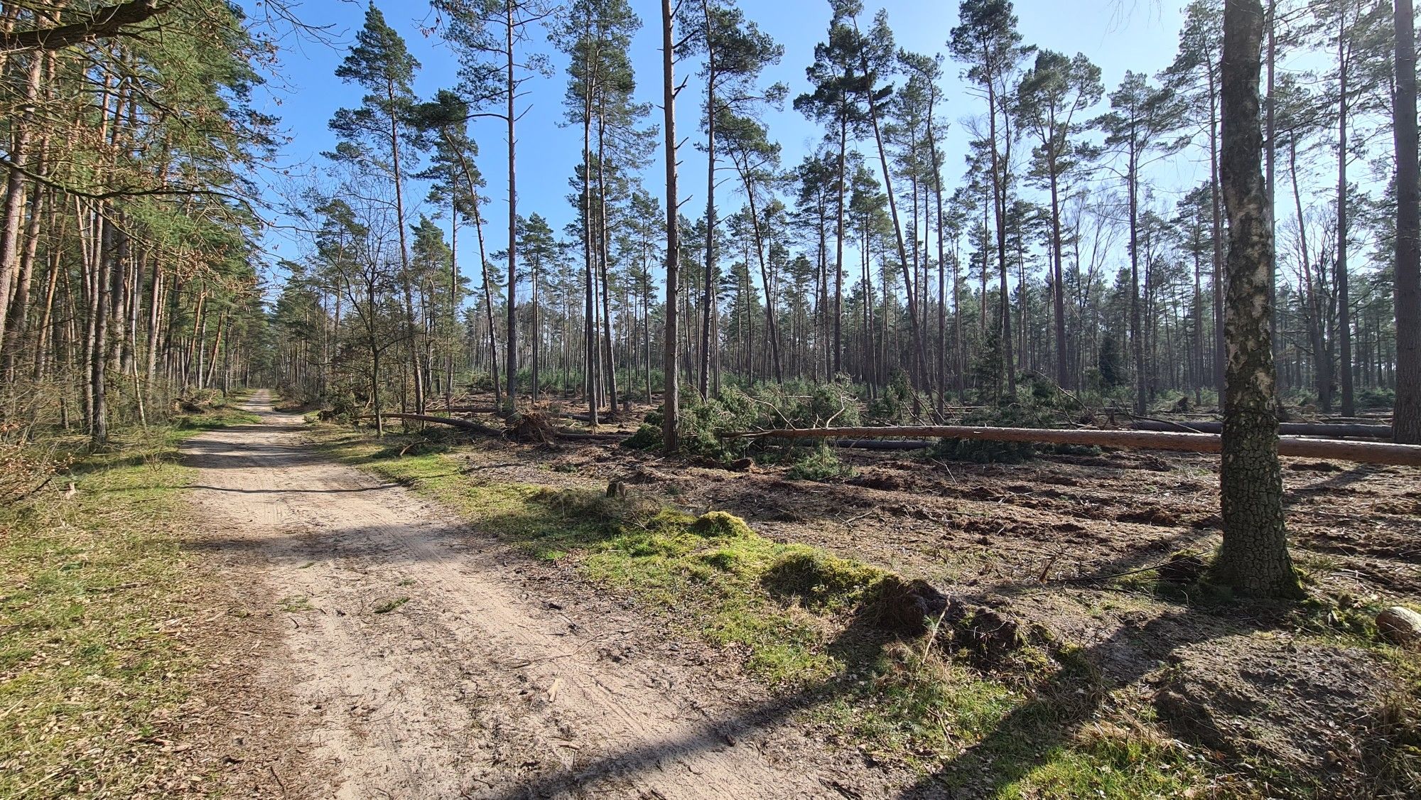 Auf dem Weg nach Mechtersen