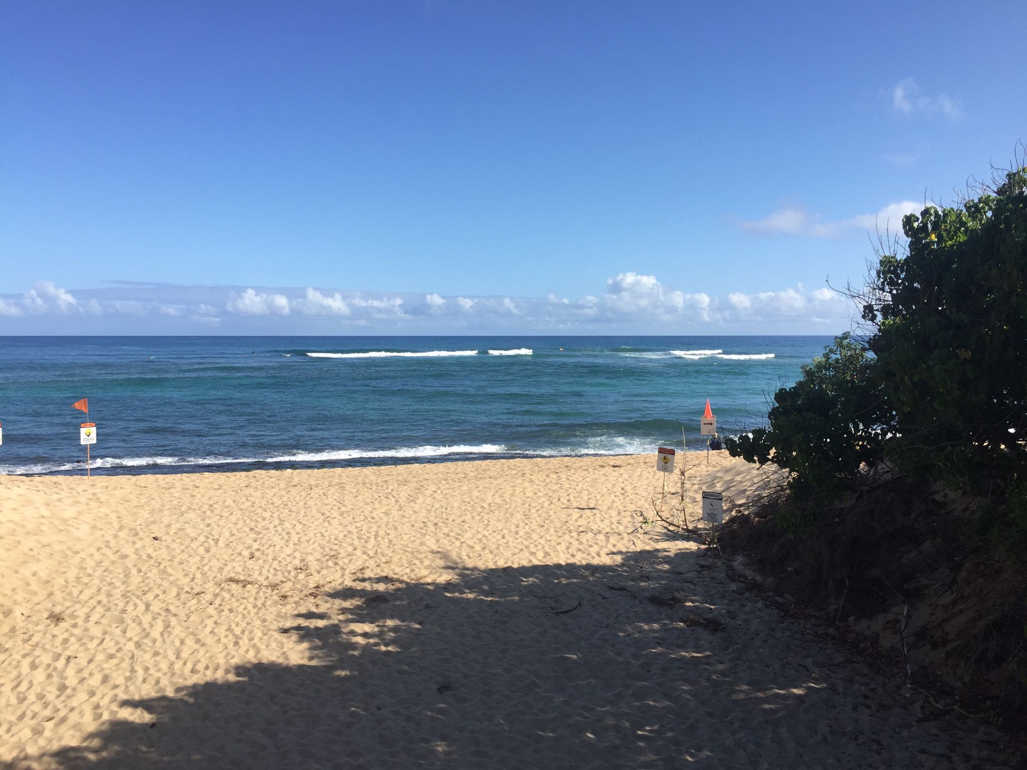 Sunny sandy beach with warning flags, leading to blue ocean and waves. - Opaeula Road via Paalaa Uka Pupukea Rd loop