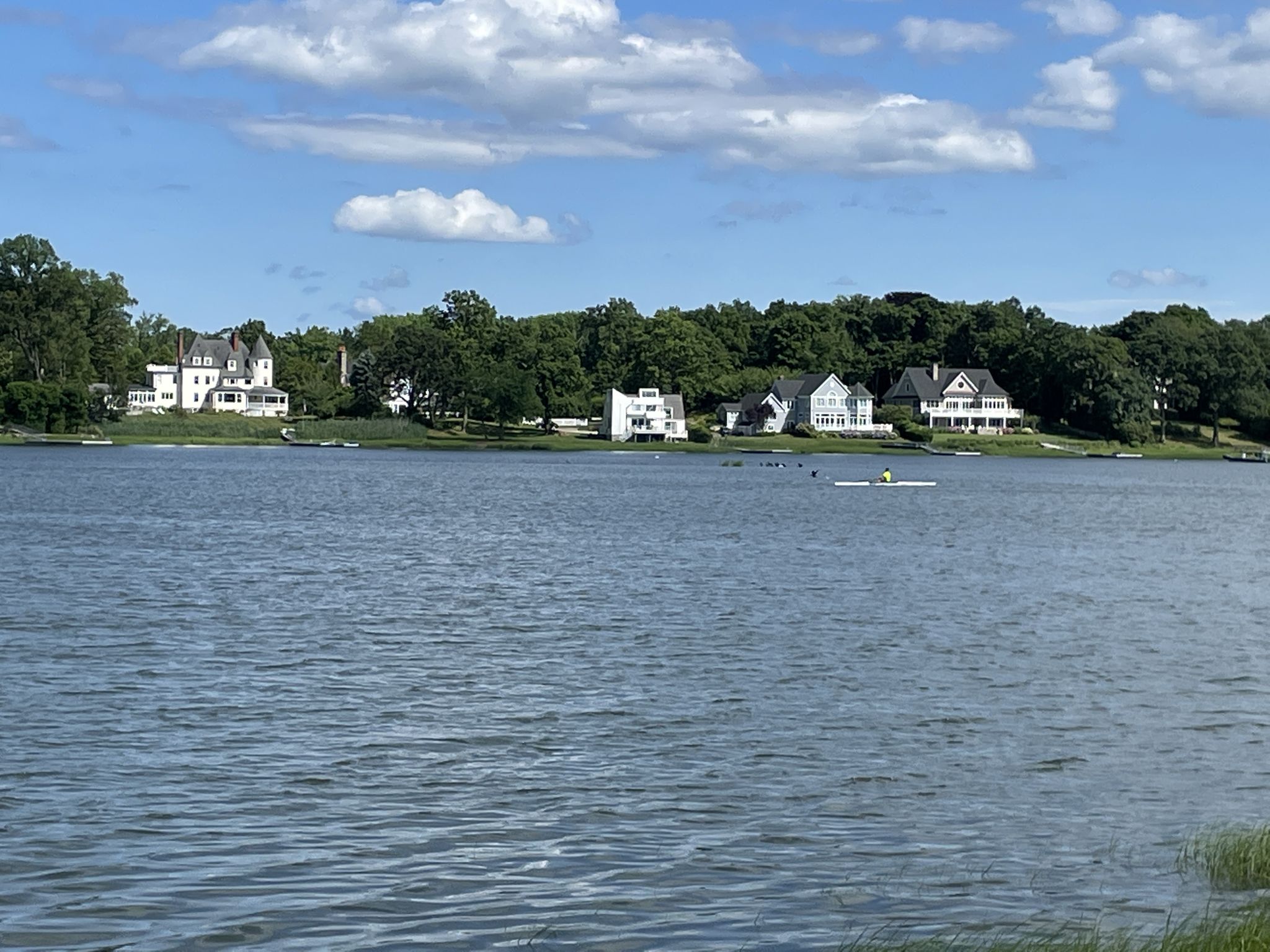 Calm water with distant houses, green trees, and a kayaker under blue sky. - Marshlands Conservancy Loop
