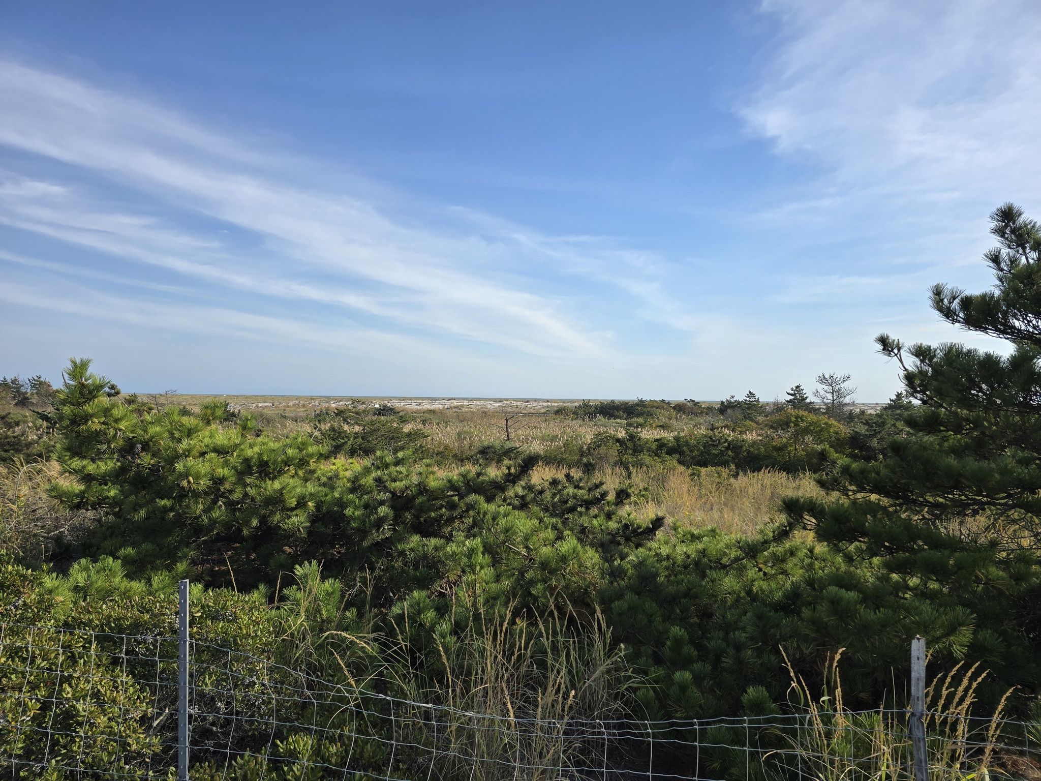 Expansive view of green and brown coastal vegetation under a bright blue sky. - Fire Island Lighthouse Trail