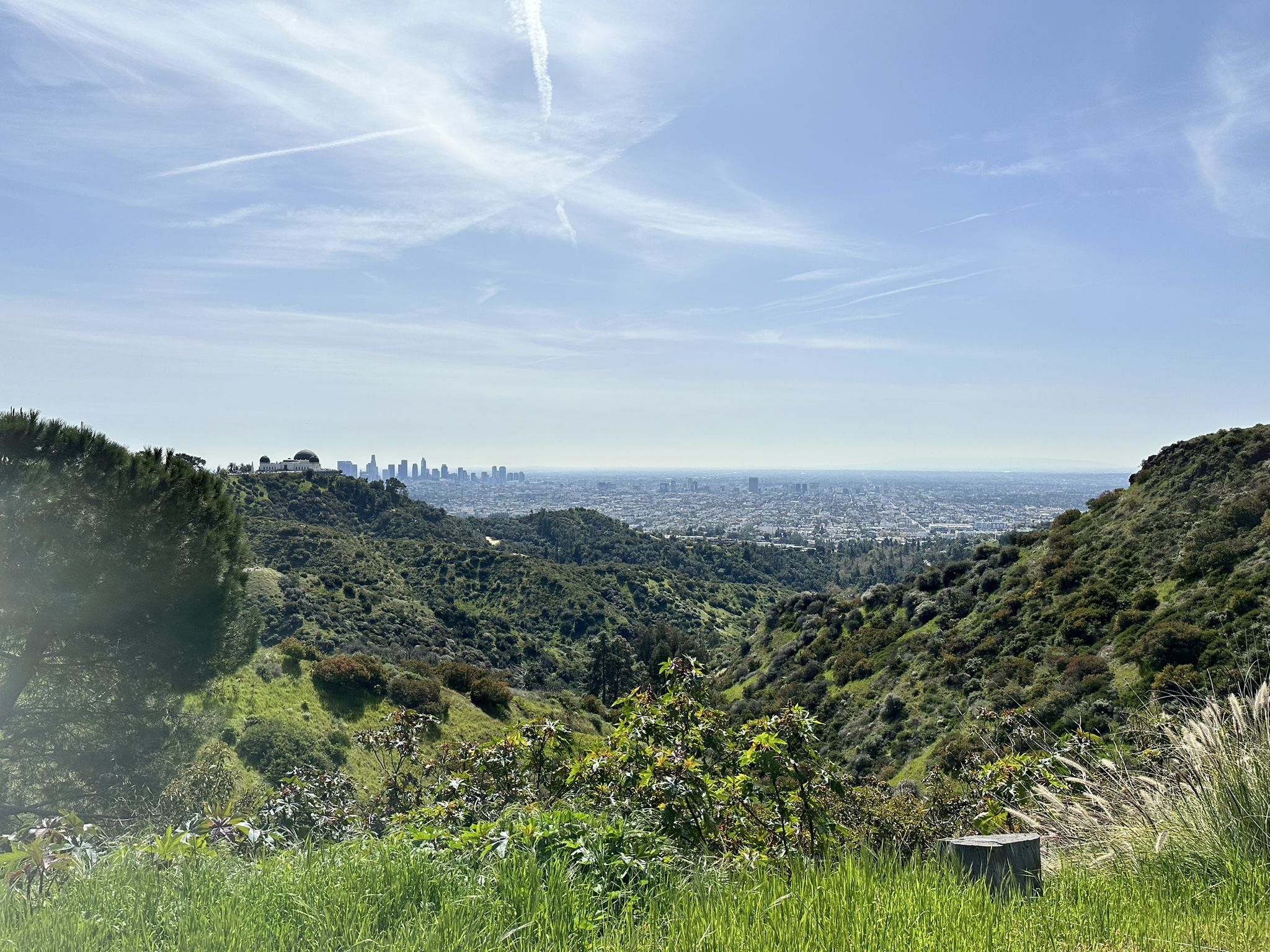 Distant city skyline beyond green, sunlit hills under a bright sky. - Griffith Observatory – Mount Hollywood Drive loop from Vermont/Beverly