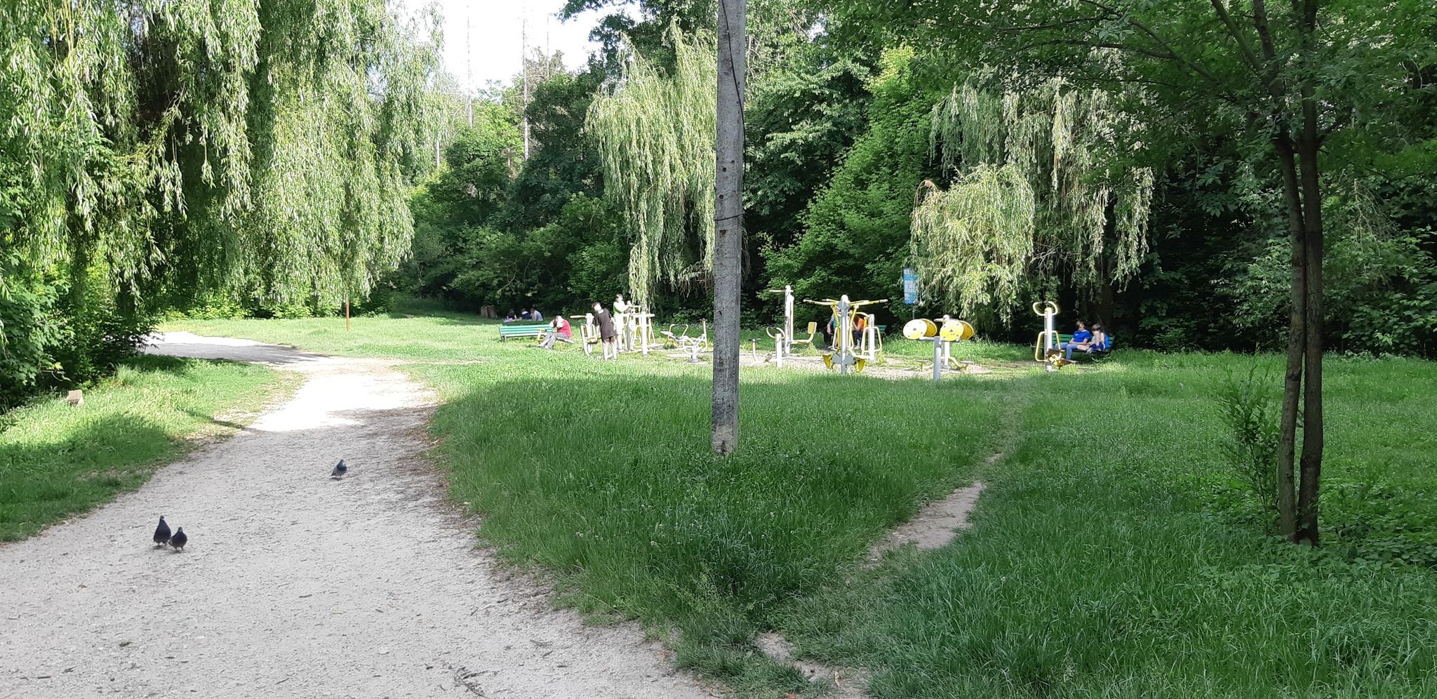 Workout place