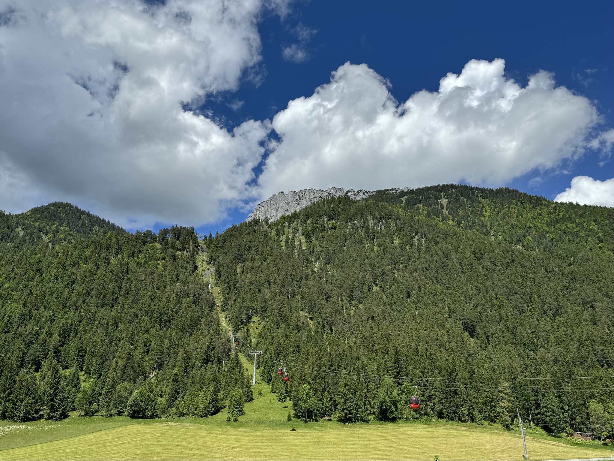 Zurück im Tal ein letzter Blick nach oben