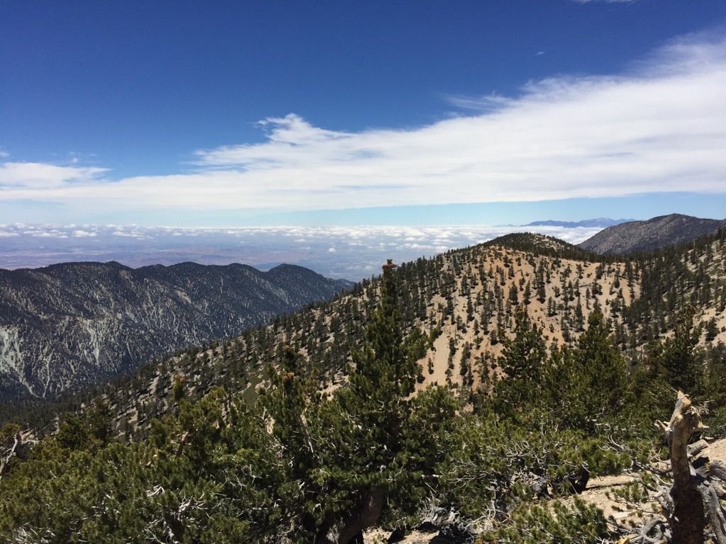 Vast mountain landscape with forested hills and distant clouds, bright day. - Momyer Creek and Falls Creek Loop